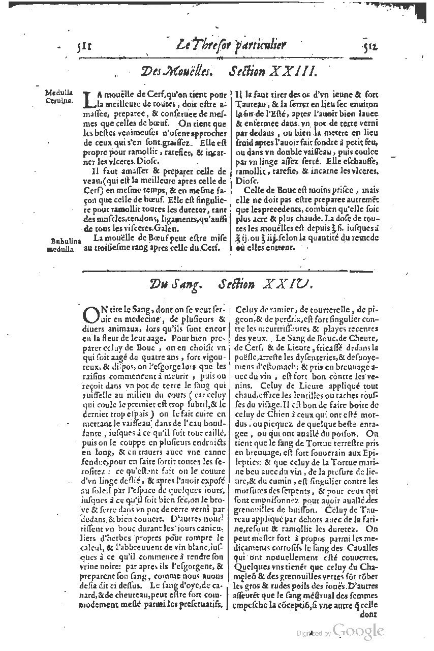1616 - Étienne Gamonet - Grand trésor ou dispensaire - BSB Munich