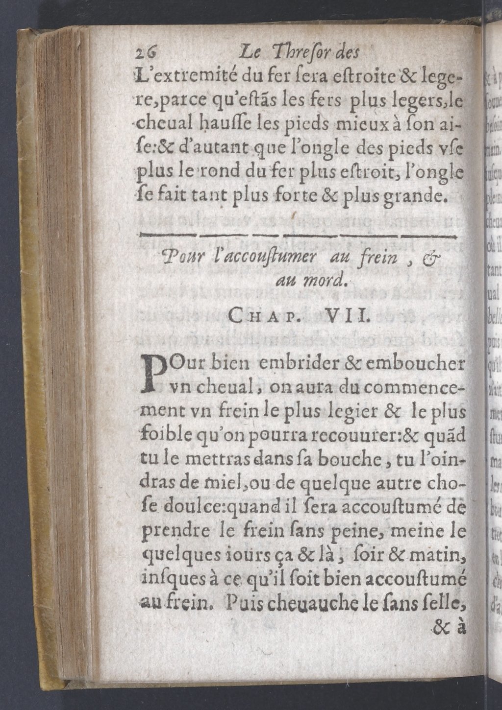 1619 - Pierre Rigaud - Trésor des bêtes chevalines - BnF