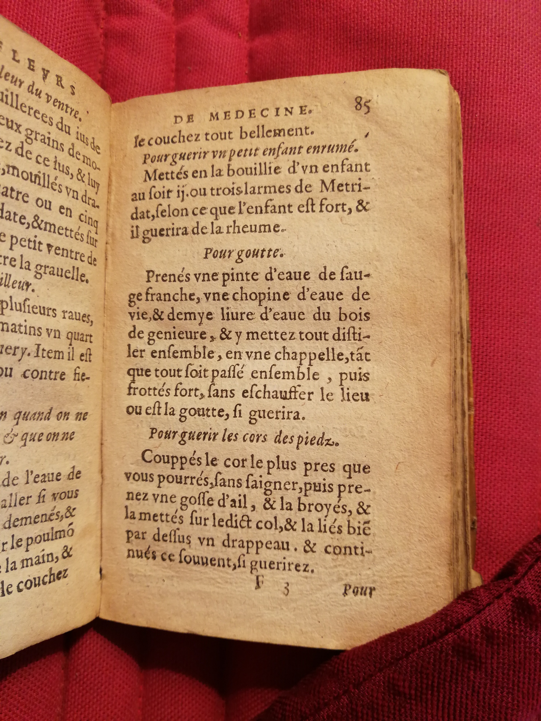 1586 - Benoît Rigaud - Trésor des fleurs et secrets de médecine - Sainte-Geneviève