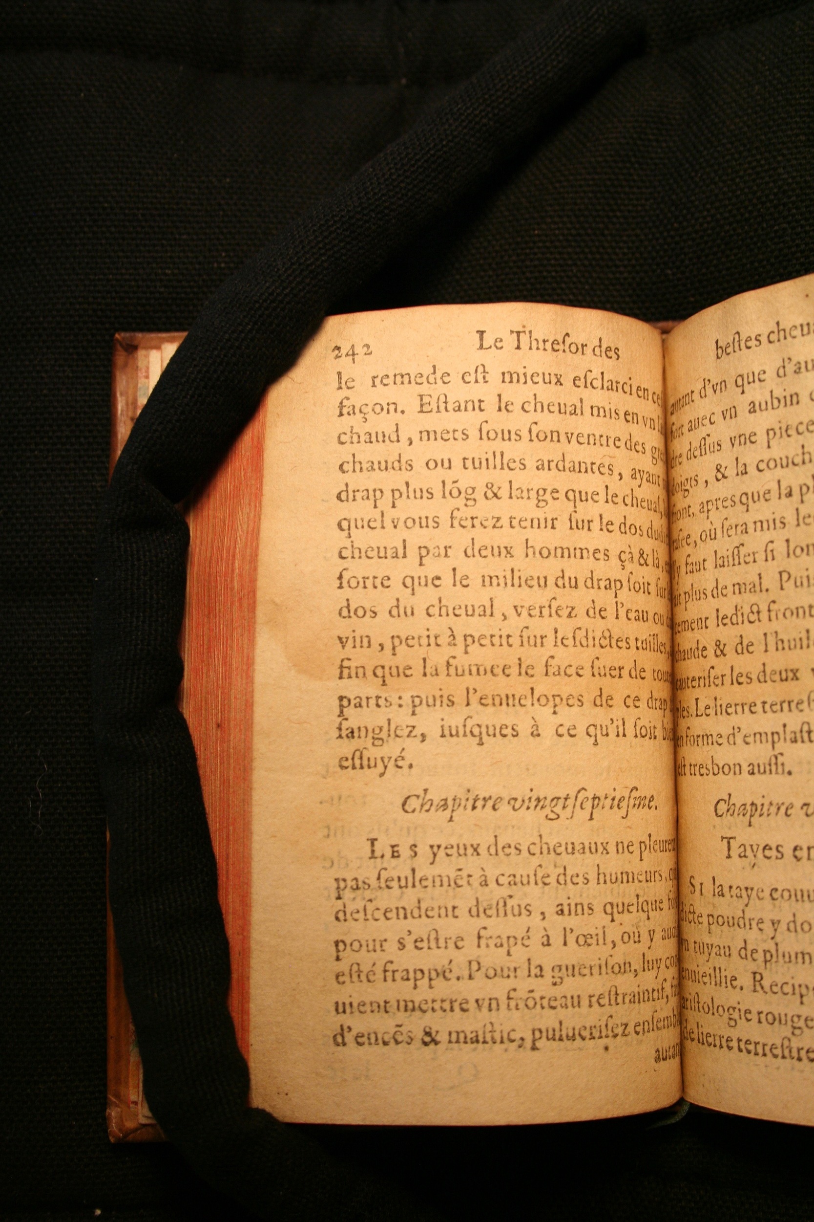 1591 - Pierre Chastaing et Benoît Rigaud - Trésor des bêtes chevalines - BM Bordeaux