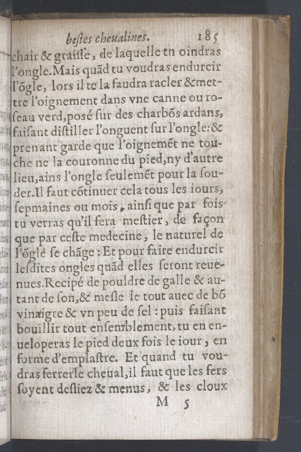 1619 - Pierre Rigaud - Trésor des bêtes chevalines - BnF 1619 - Pierre Rigaud - Trésor des bêtes chevalines - BnF