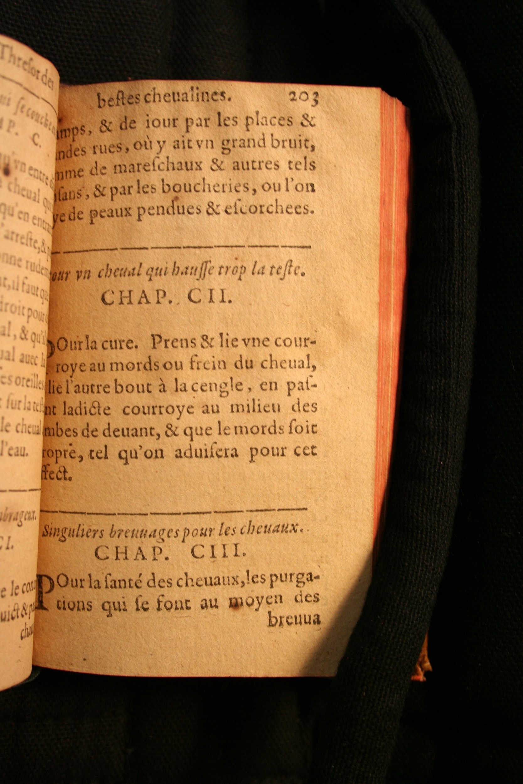 1591 - Pierre Chastaing et Benoît Rigaud - Trésor des bêtes chevalines - BM Bordeaux