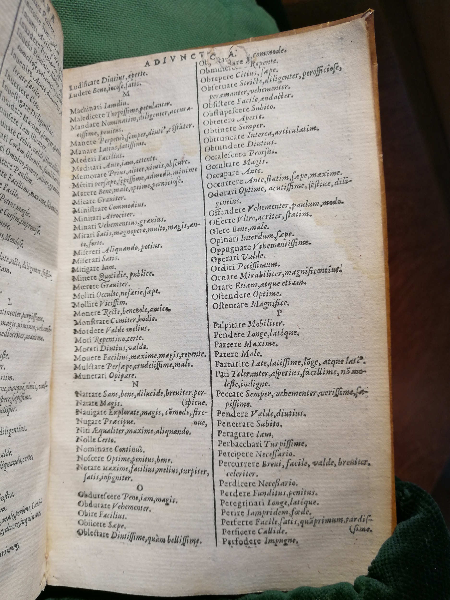 1597 - Martin le Mégissier - Trésor des mots et traits français - BnF