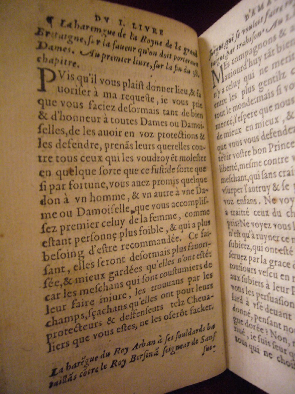 1564 - Vincent Norment et Jeanne Bruneau - Trésor des Amadis - BnF