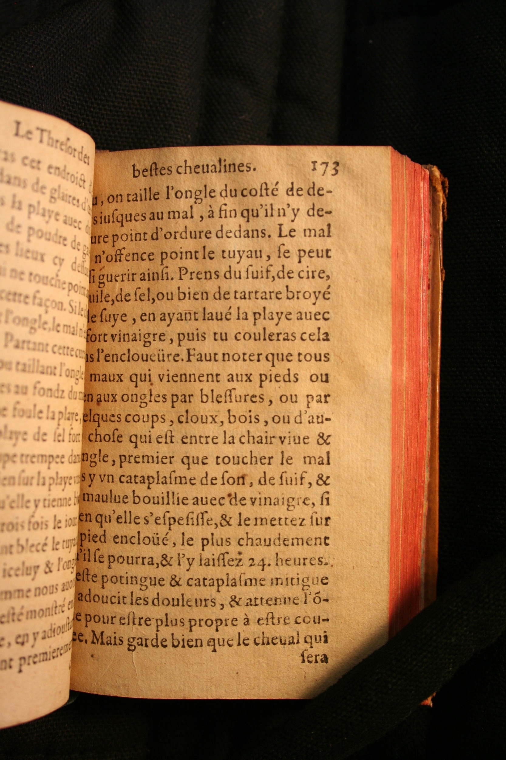 1591 - Pierre Chastaing et Benoît Rigaud - Trésor des bêtes chevalines - BM Bordeaux