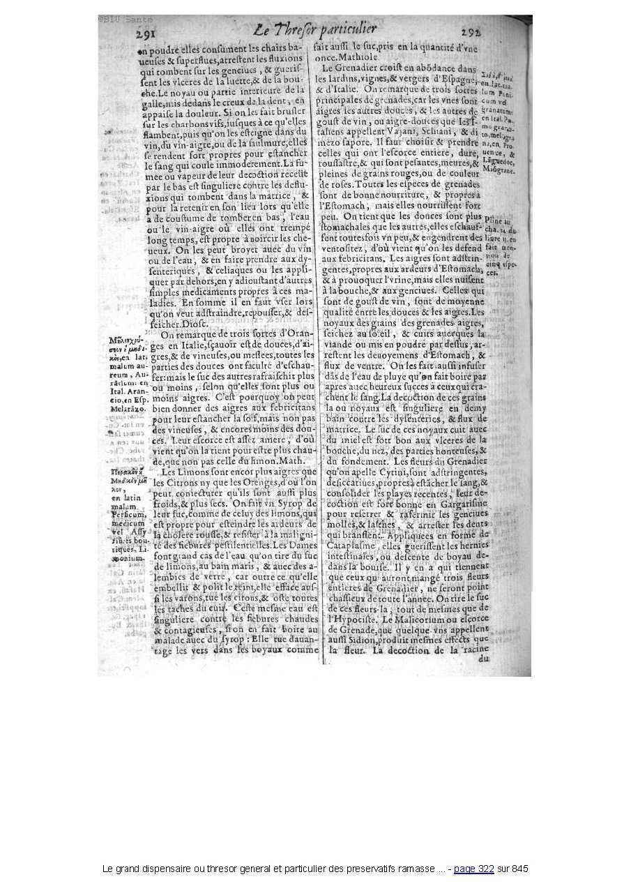 1609 - Étienne Gamonet - Grand dispensaire ou Trésor général et particulier des préservatifs - BIU Santé 1609 - Étienne Gamonet - Grand dispensaire ou Trésor général et particulier des préservatifs - BIU Santé
