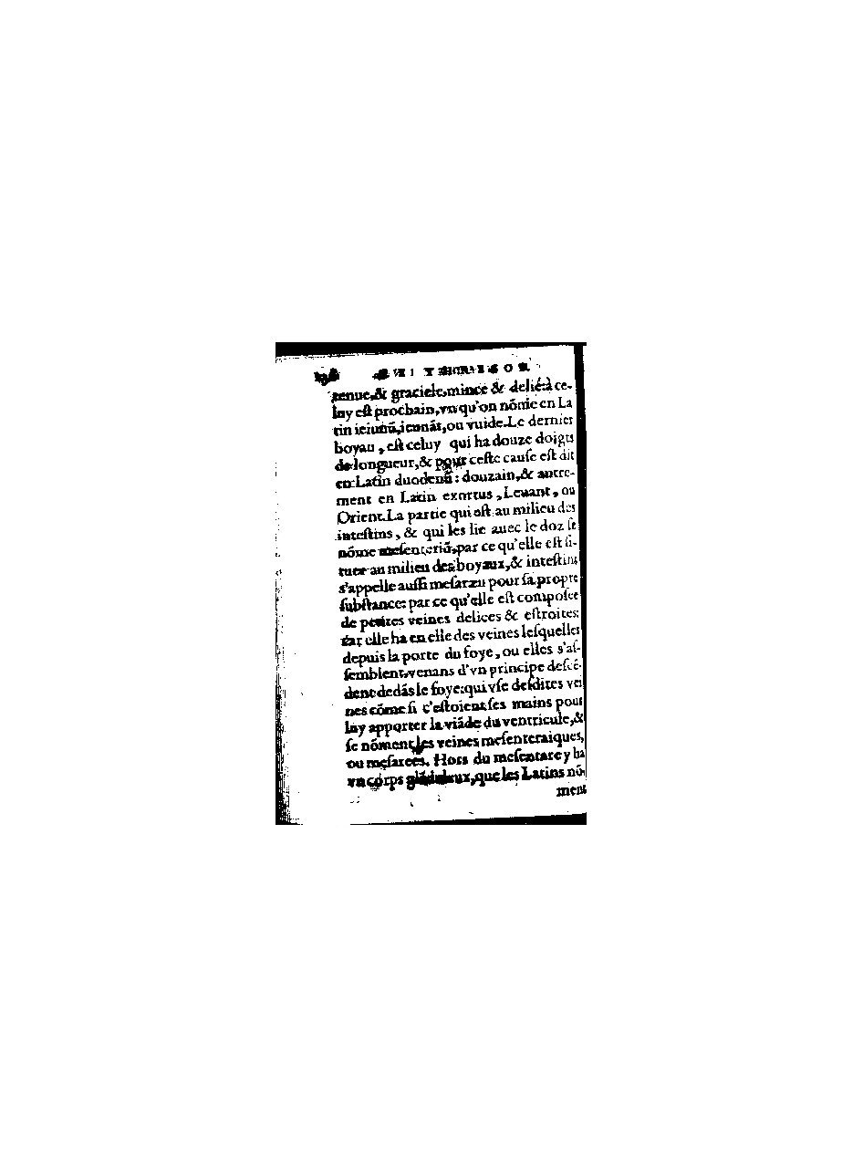 1578 - Benoît Rigaud - Trésor de médecine tant théorique que pratique - BnF