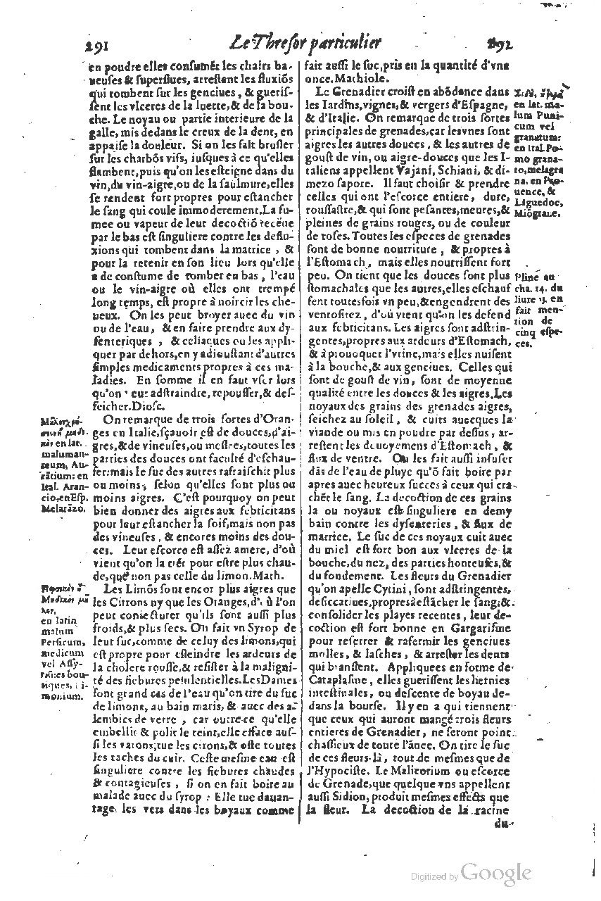 1616 - Étienne Gamonet - Grand trésor ou dispensaire - BSB Munich