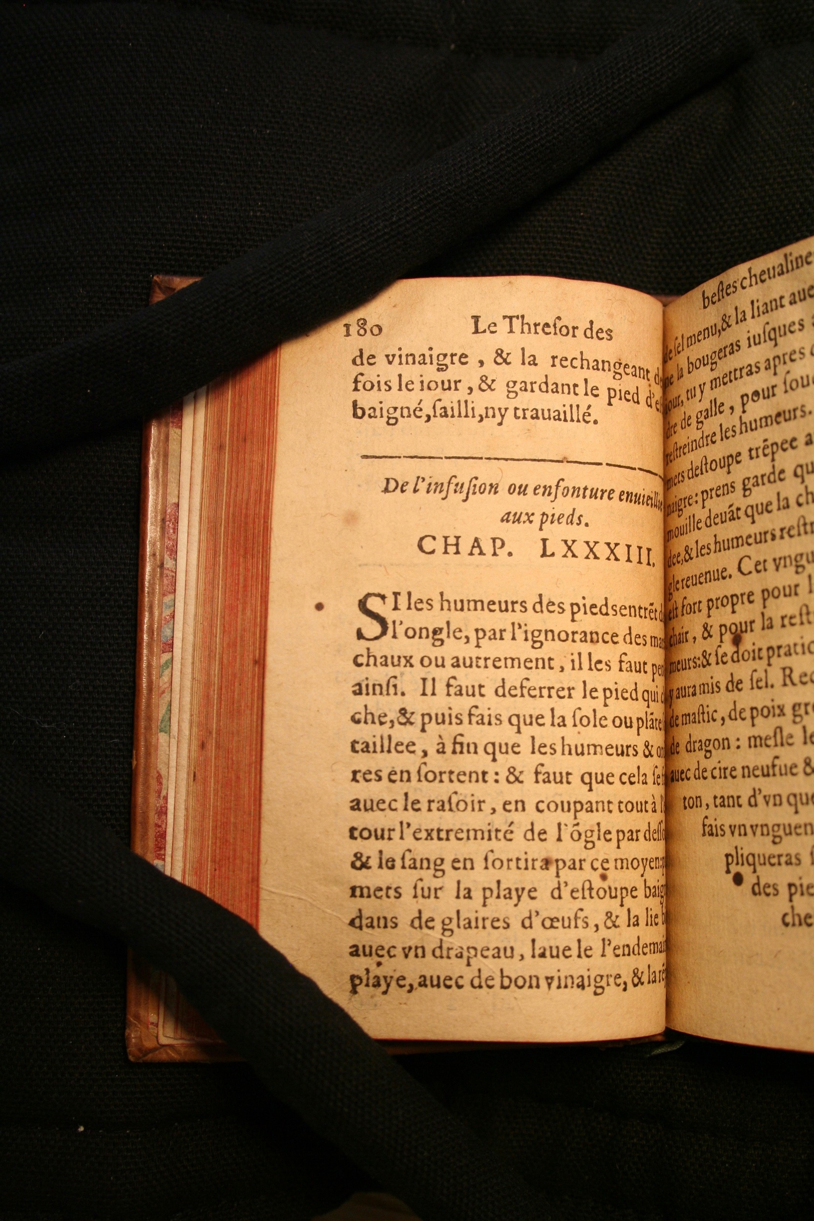 1591 - Pierre Chastaing et Benoît Rigaud - Trésor des bêtes chevalines - BM Bordeaux