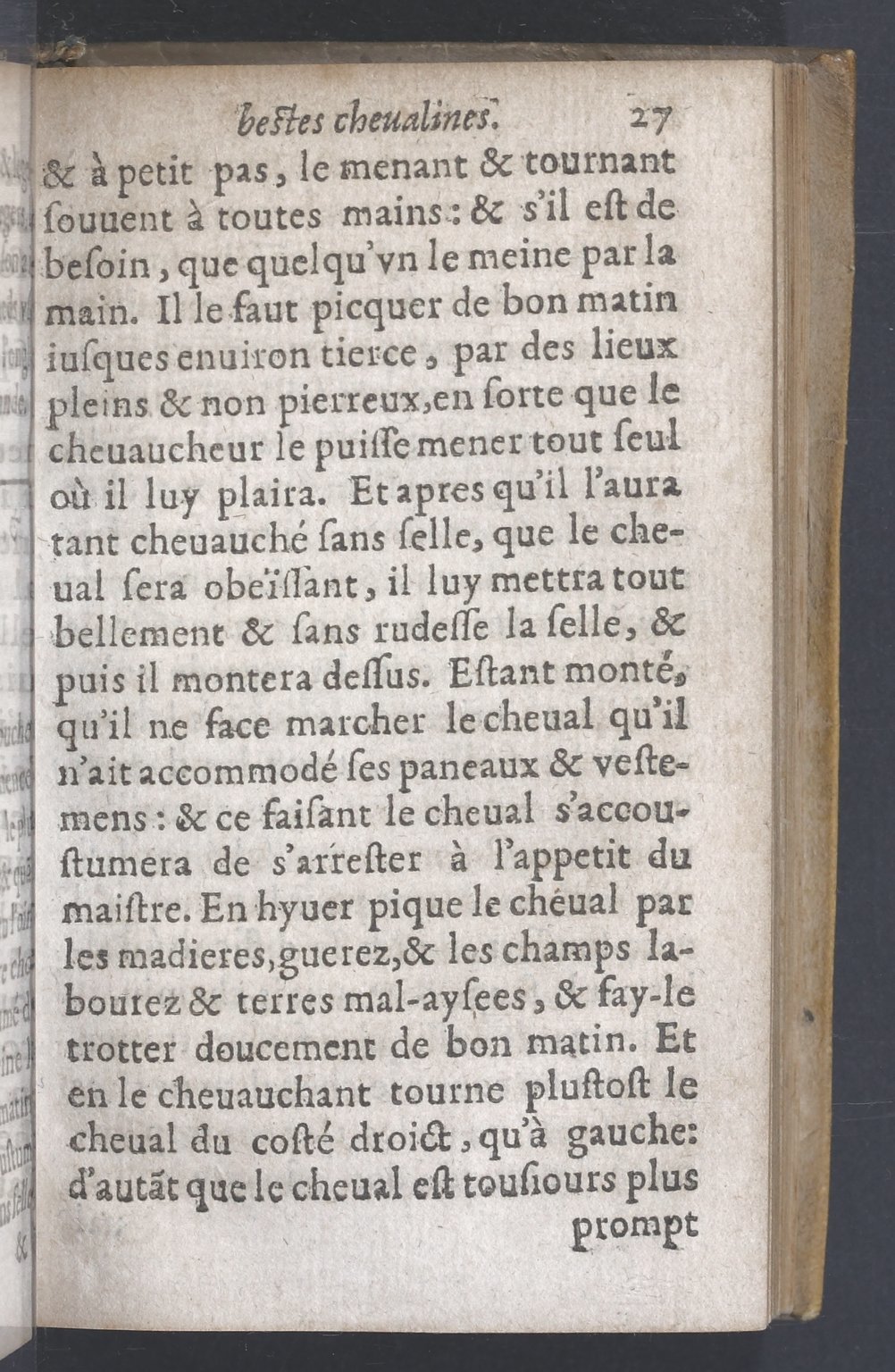 1619 - Pierre Rigaud - Trésor des bêtes chevalines - BnF 1619 - Pierre Rigaud - Trésor des bêtes chevalines - BnF
