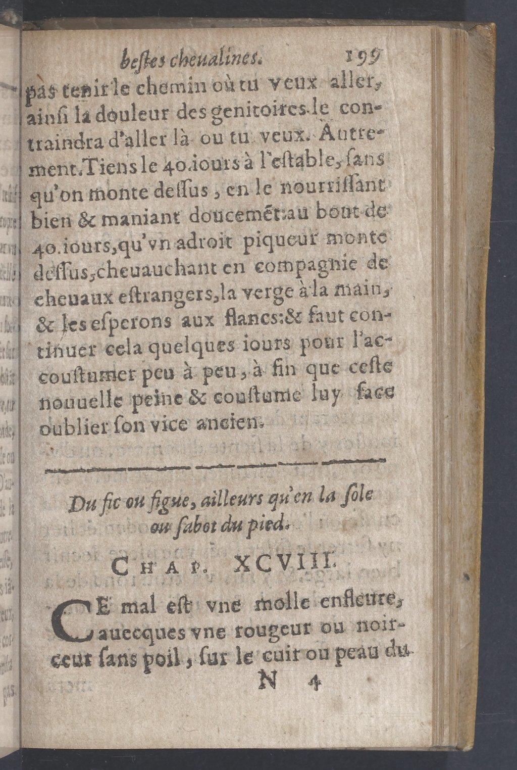 1619 - Pierre Rigaud - Trésor des bêtes chevalines - BnF