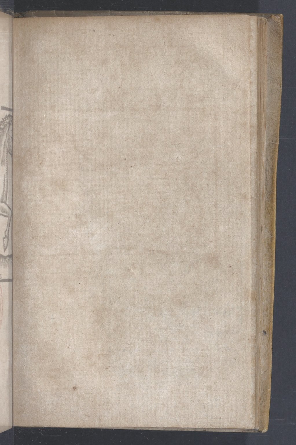 1619 - Pierre Rigaud - Trésor des bêtes chevalines - BnF