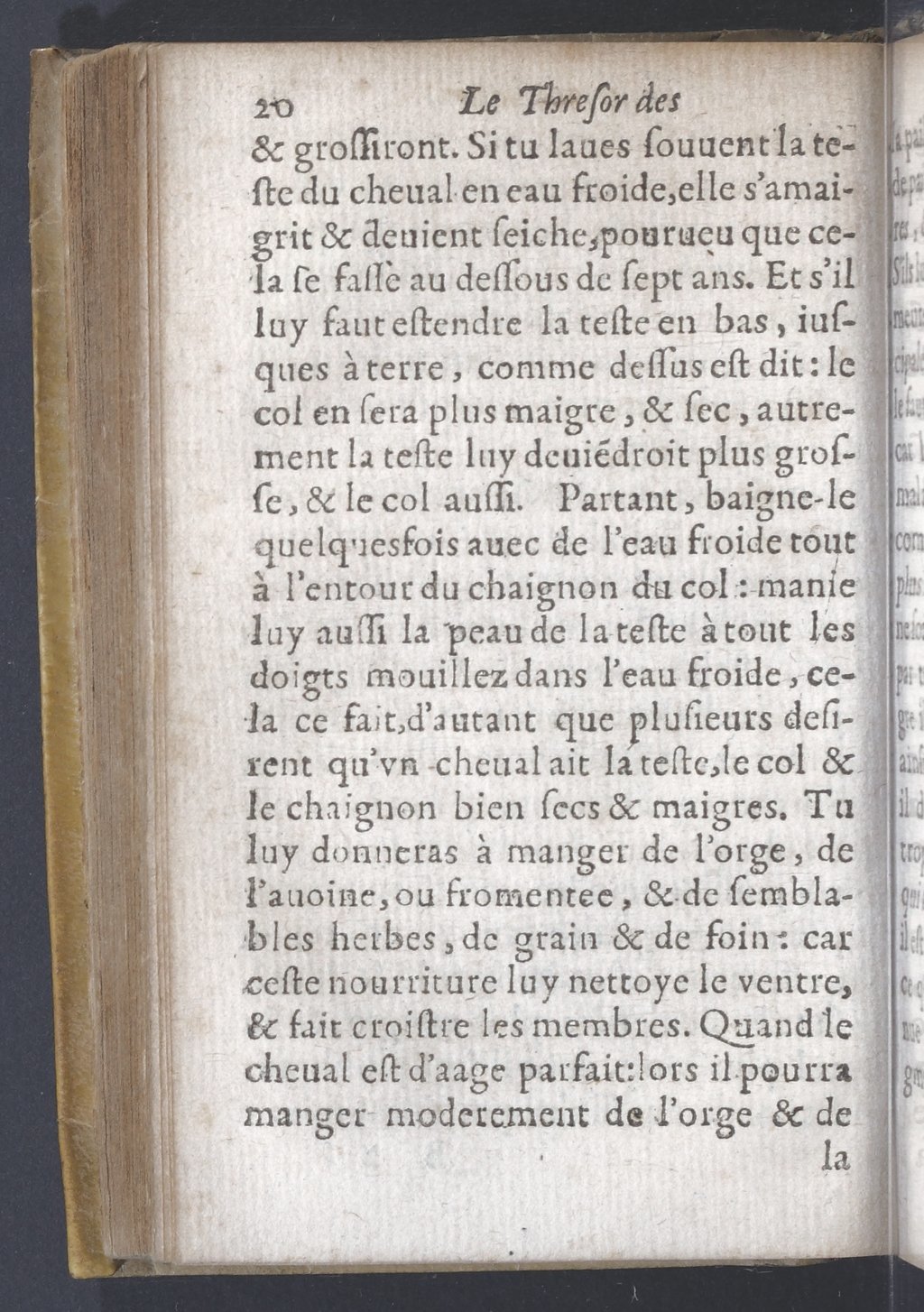 1619 - Pierre Rigaud - Trésor des bêtes chevalines - BnF