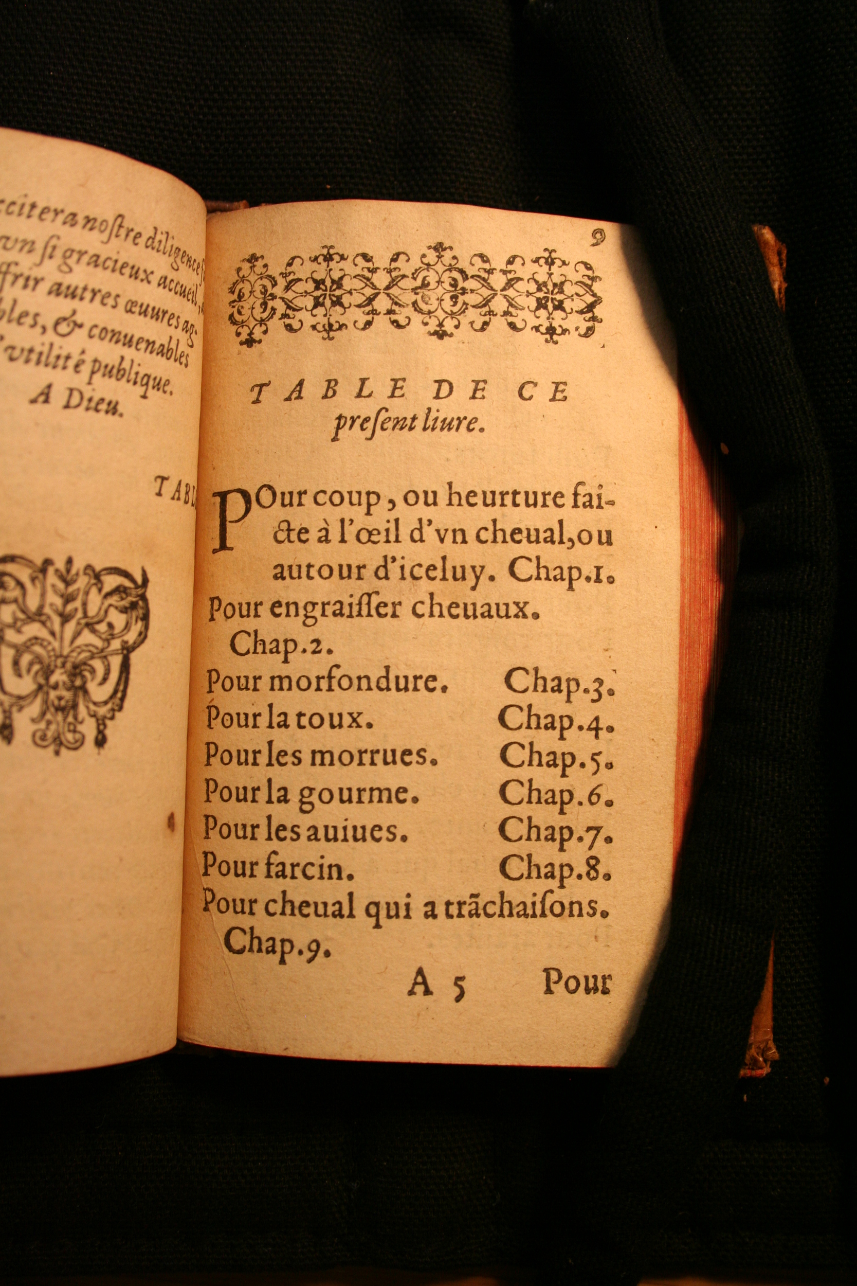 1591 - Pierre Chastaing et Benoît Rigaud - Trésor des bêtes chevalines - BM Bordeaux 1591 - Pierre Chastaing et Benoît Rigaud - Trésor des bêtes chevalines - BM Bordeaux