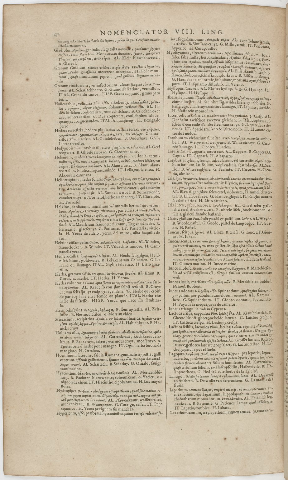 1606 - David Douceur - Trésor de la langue française - BnF