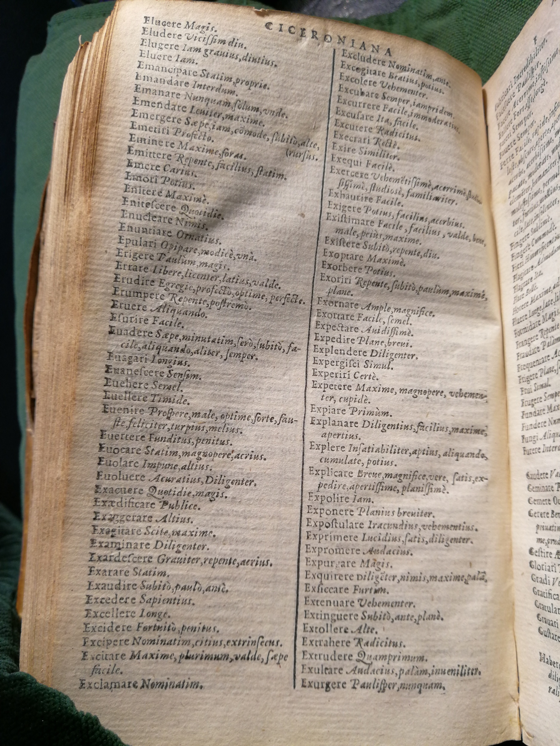 1597 - Martin le Mégissier - Trésor des mots et traits français - BnF