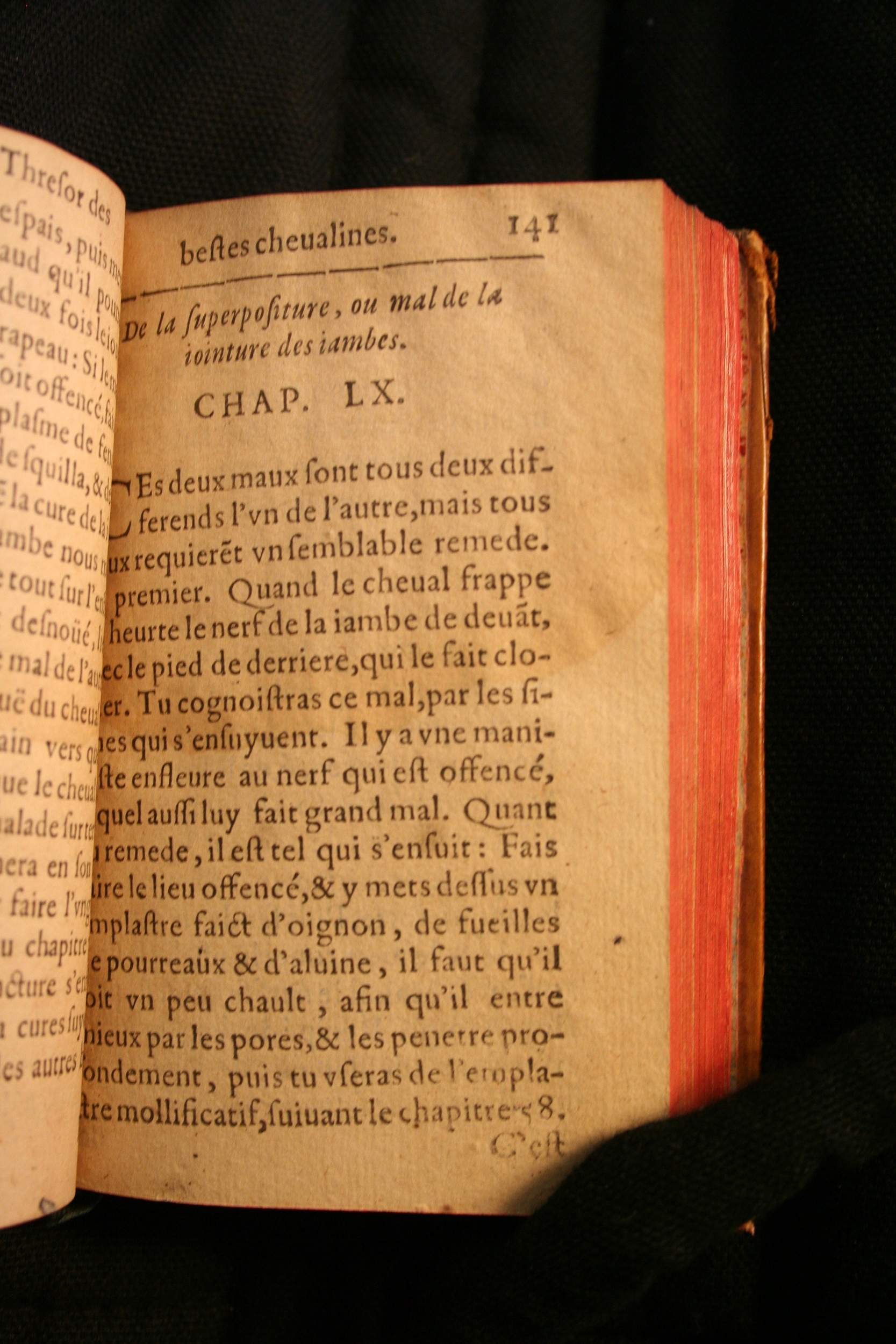 1591 - Pierre Chastaing et Benoît Rigaud - Trésor des bêtes chevalines - BM Bordeaux