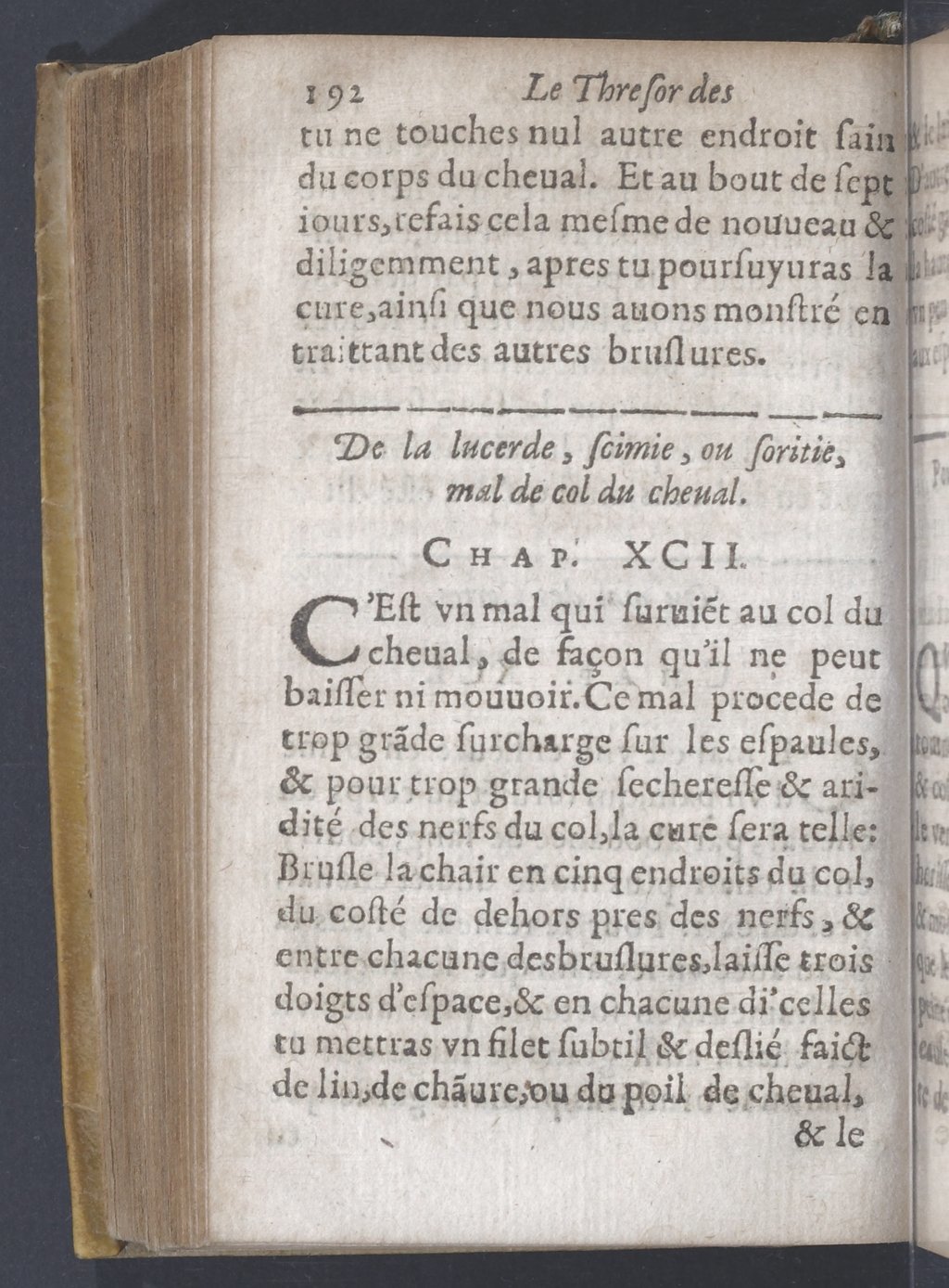 1619 - Pierre Rigaud - Trésor des bêtes chevalines - BnF 1619 - Pierre Rigaud - Trésor des bêtes chevalines - BnF
