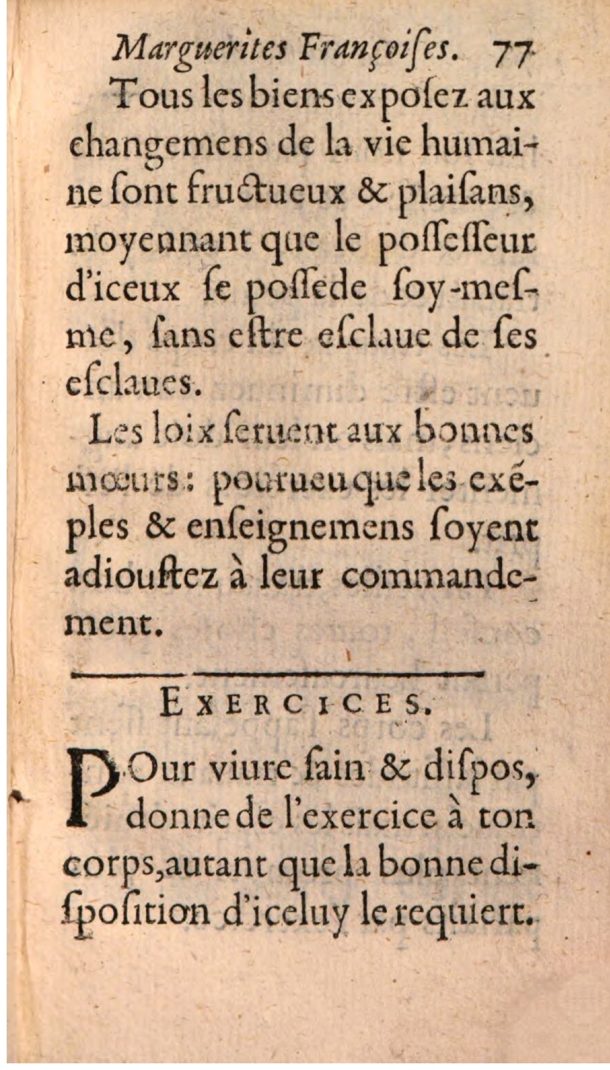 1611 - Théodore Reinsart - La Suitte des marguerites françoises, ou second thresor du bien dire - BSB Munich