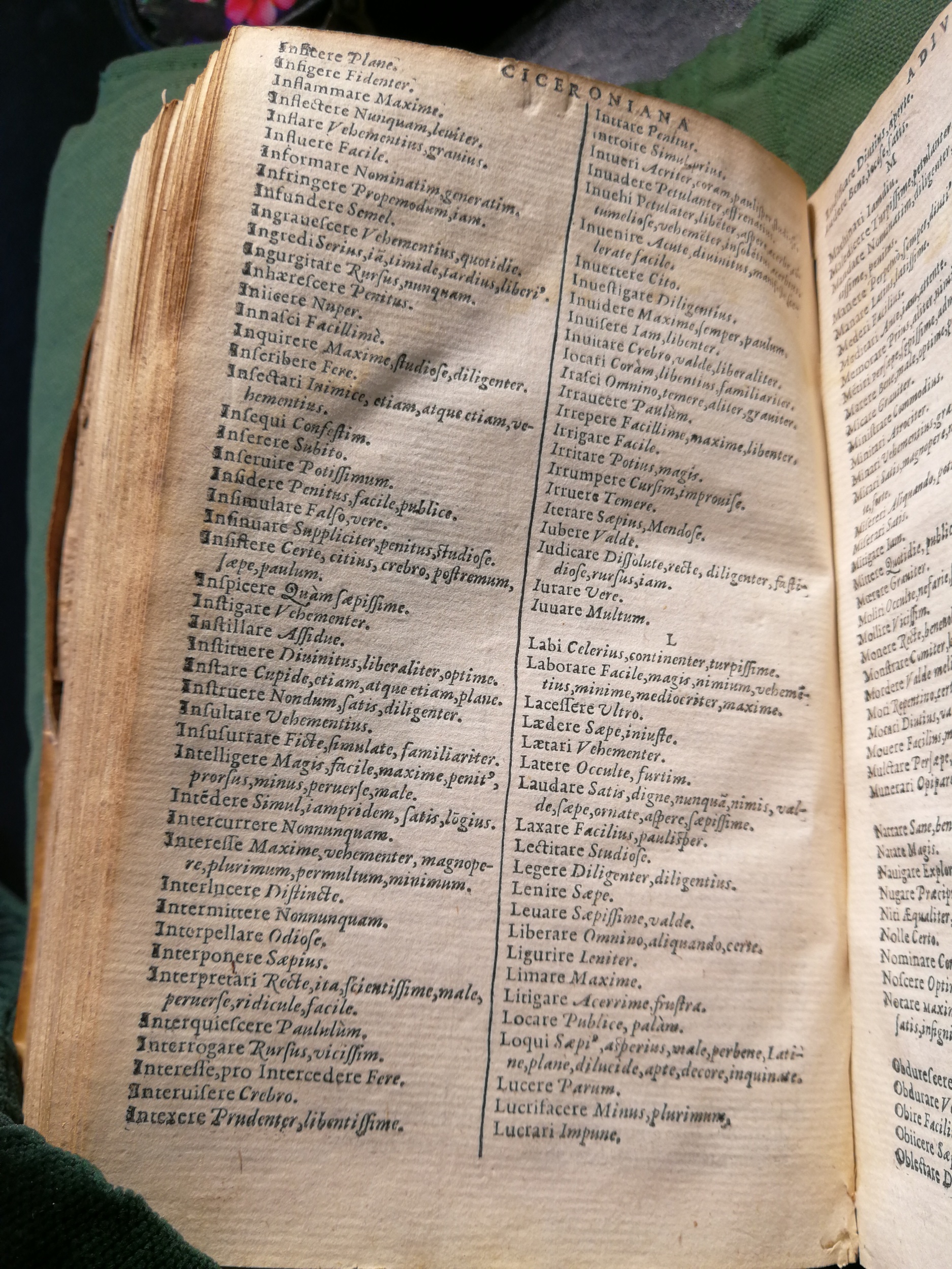 1597 - Martin le Mégissier - Trésor des mots et traits français - BnF