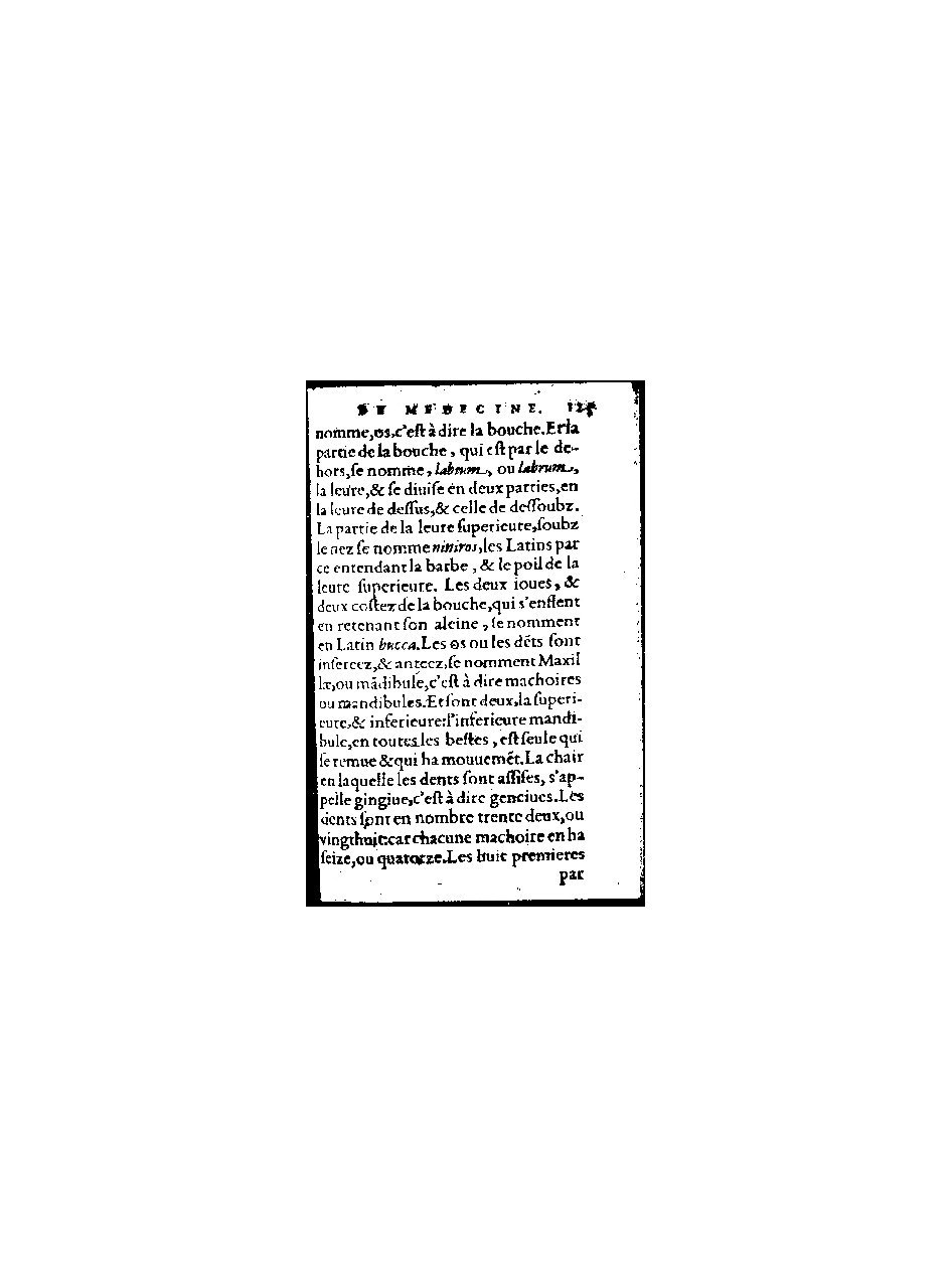 1578 - Benoît Rigaud - Trésor de médecine tant théorique que pratique - BnF