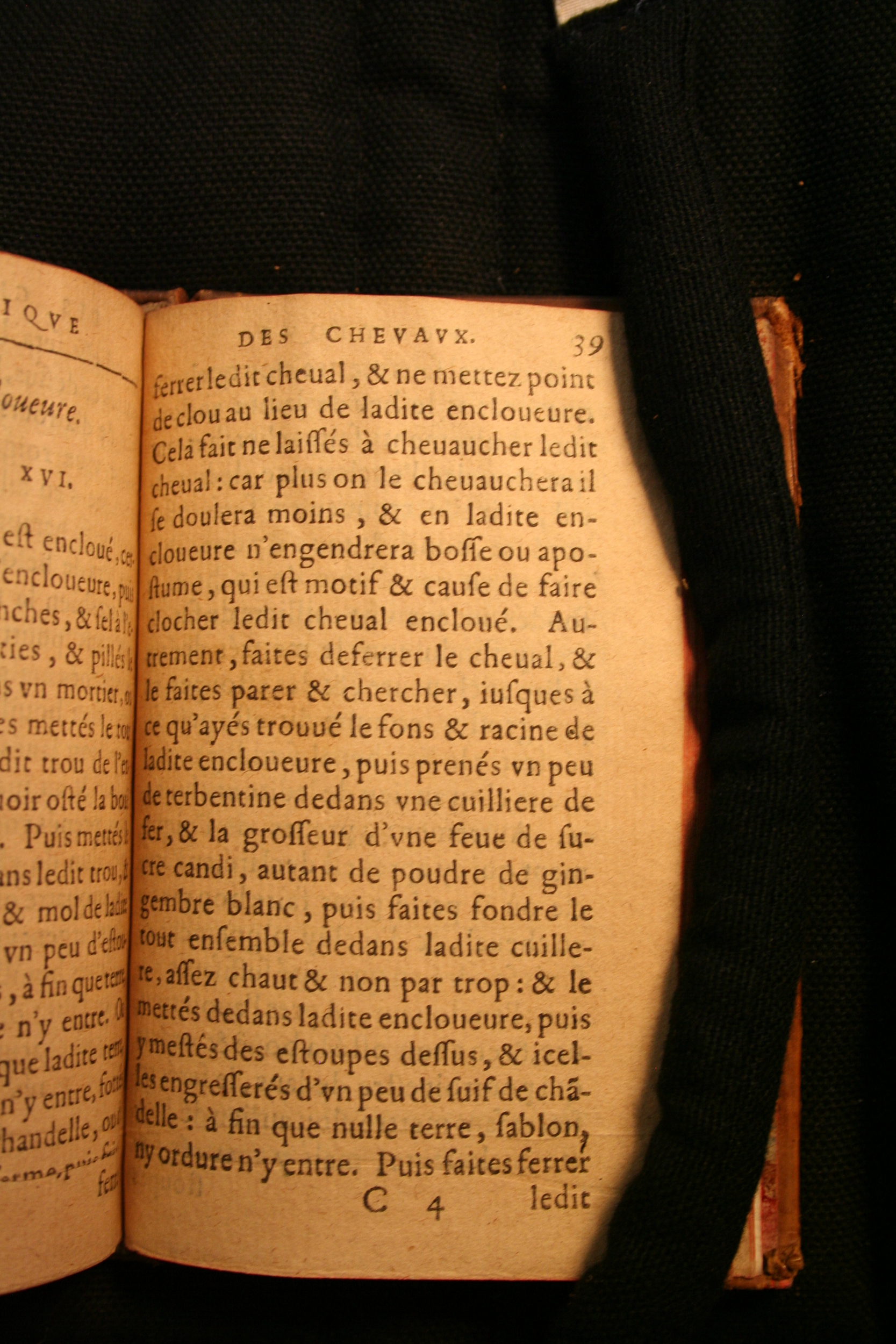 1591 - Pierre Chastaing et Benoît Rigaud - Trésor des bêtes chevalines - BM Bordeaux