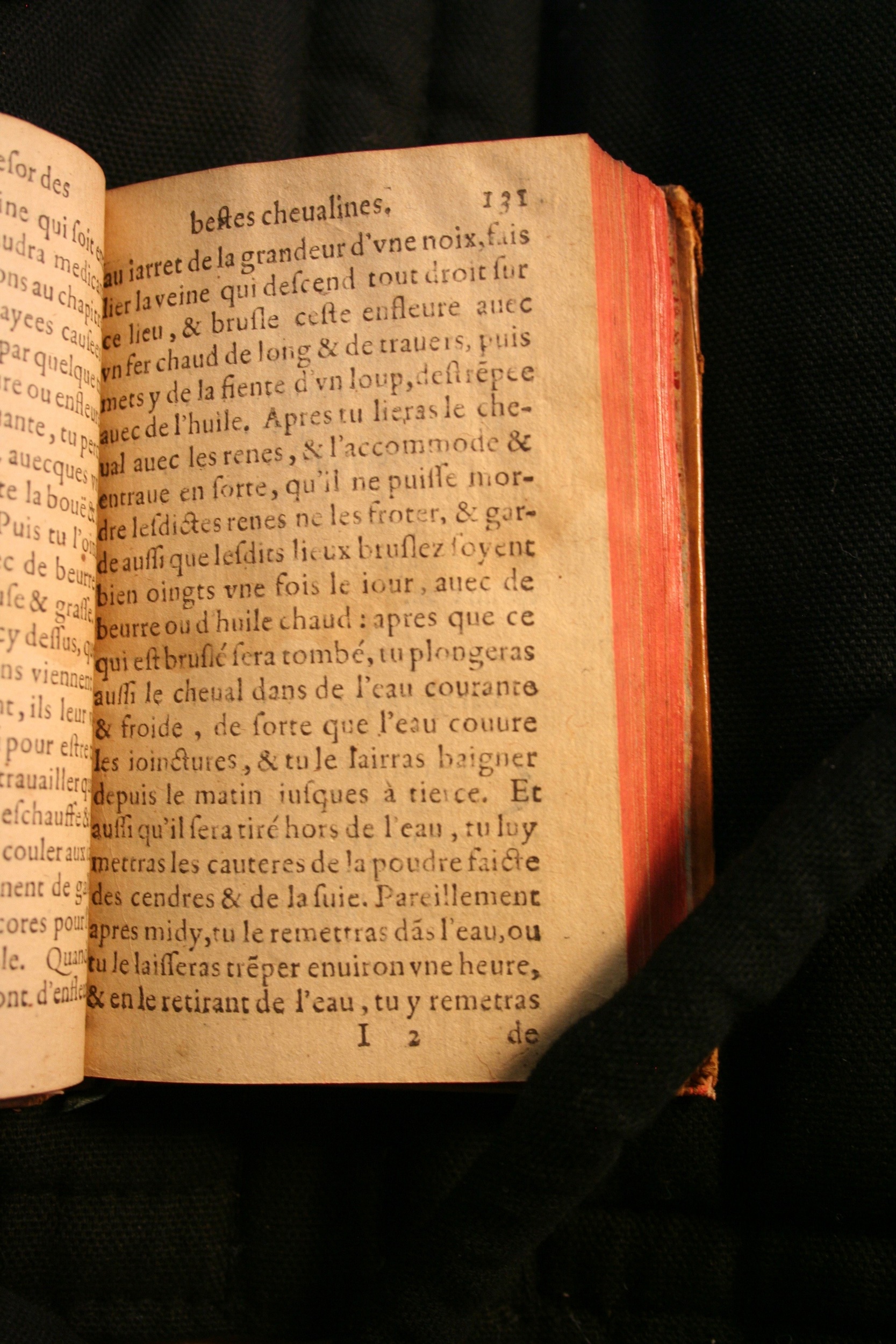 1591 - Pierre Chastaing et Benoît Rigaud - Trésor des bêtes chevalines - BM Bordeaux
