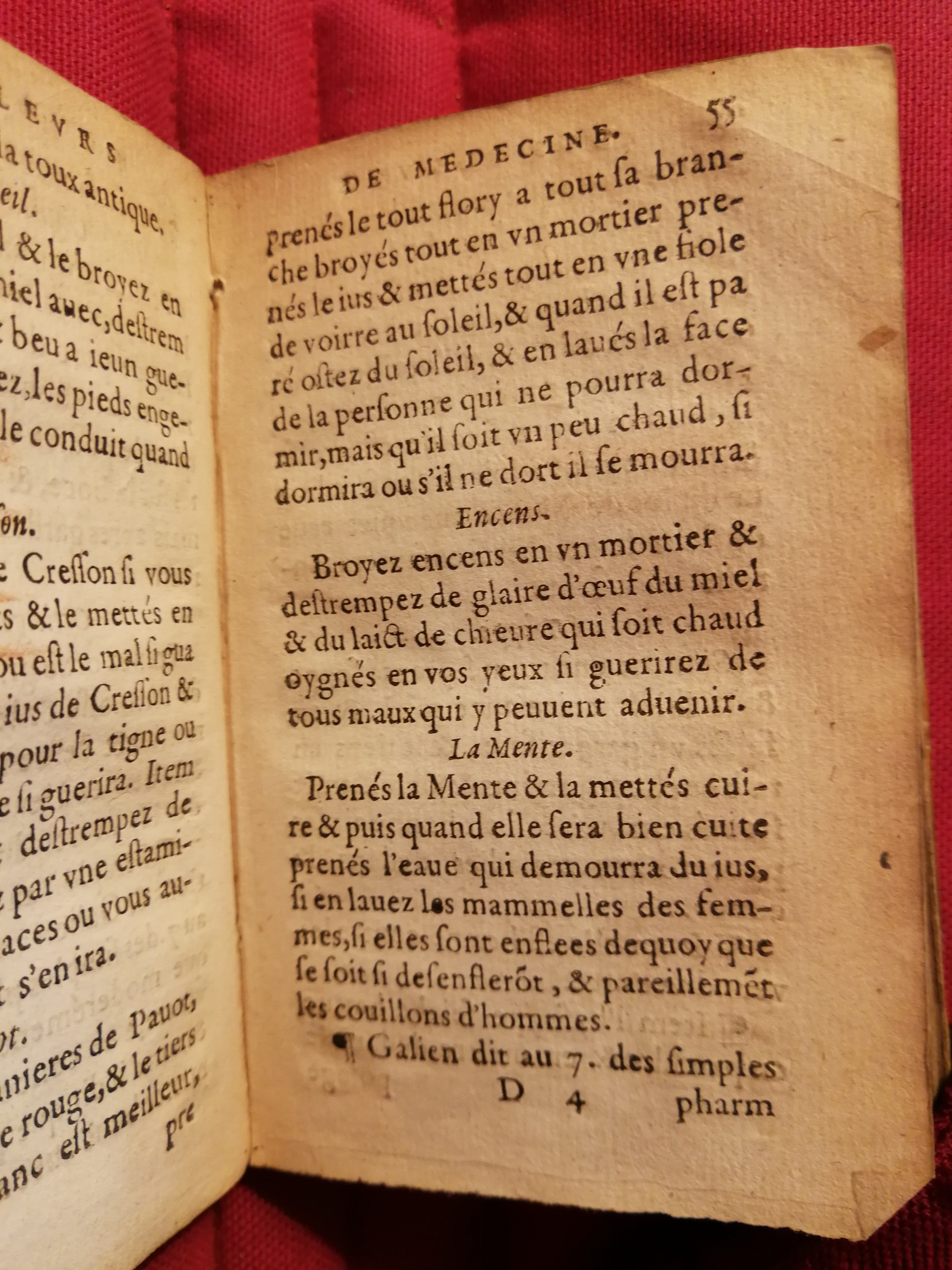 1586 - Benoît Rigaud - Trésor des fleurs et secrets de médecine - Sainte-Geneviève