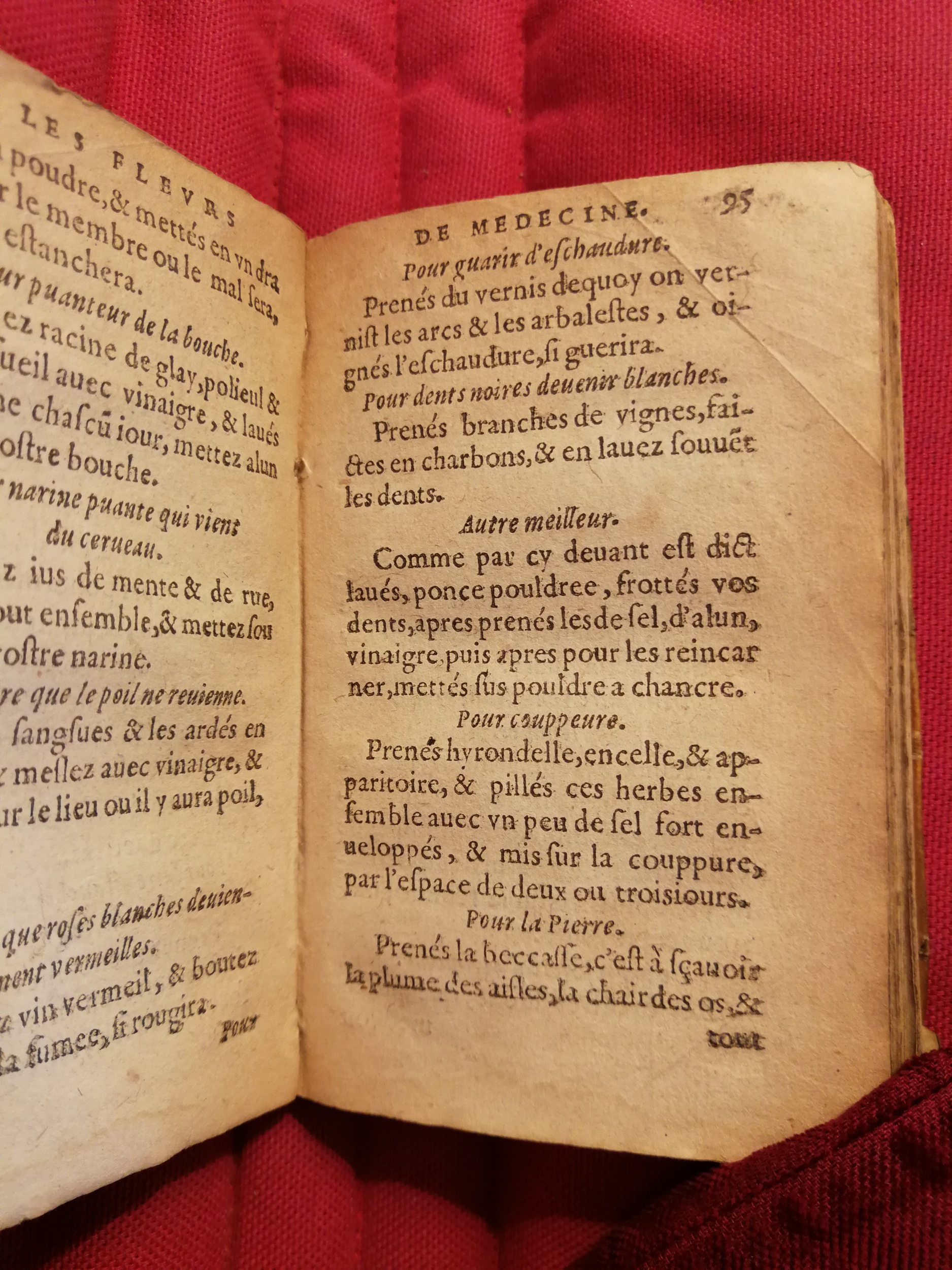 1586 - Benoît Rigaud - Trésor des fleurs et secrets de médecine - Sainte-Geneviève