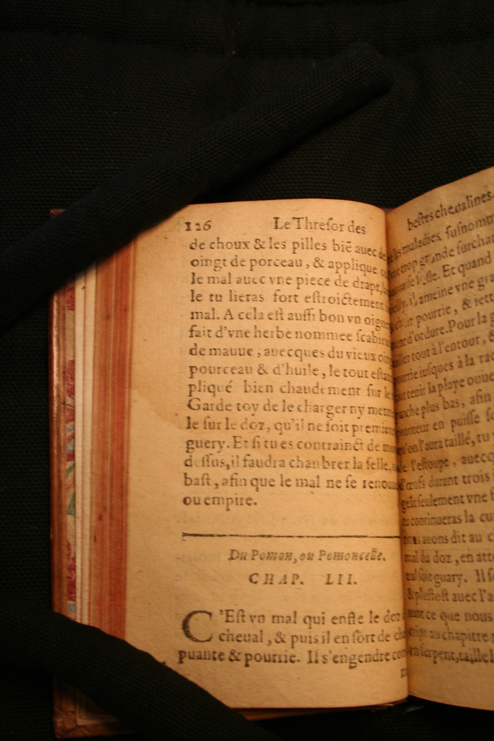 1591 - Pierre Chastaing et Benoît Rigaud - Trésor des bêtes chevalines - BM Bordeaux