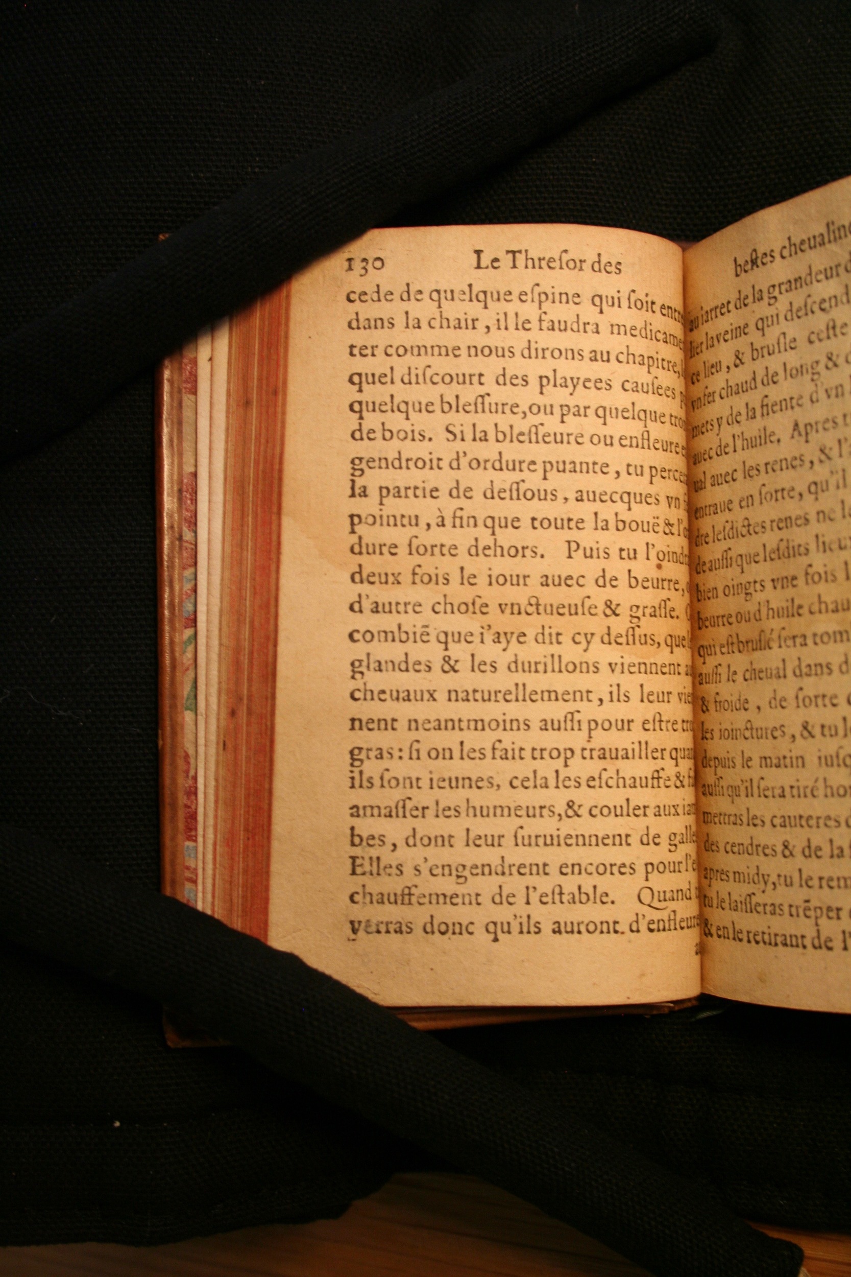 1591 - Pierre Chastaing et Benoît Rigaud - Trésor des bêtes chevalines - BM Bordeaux