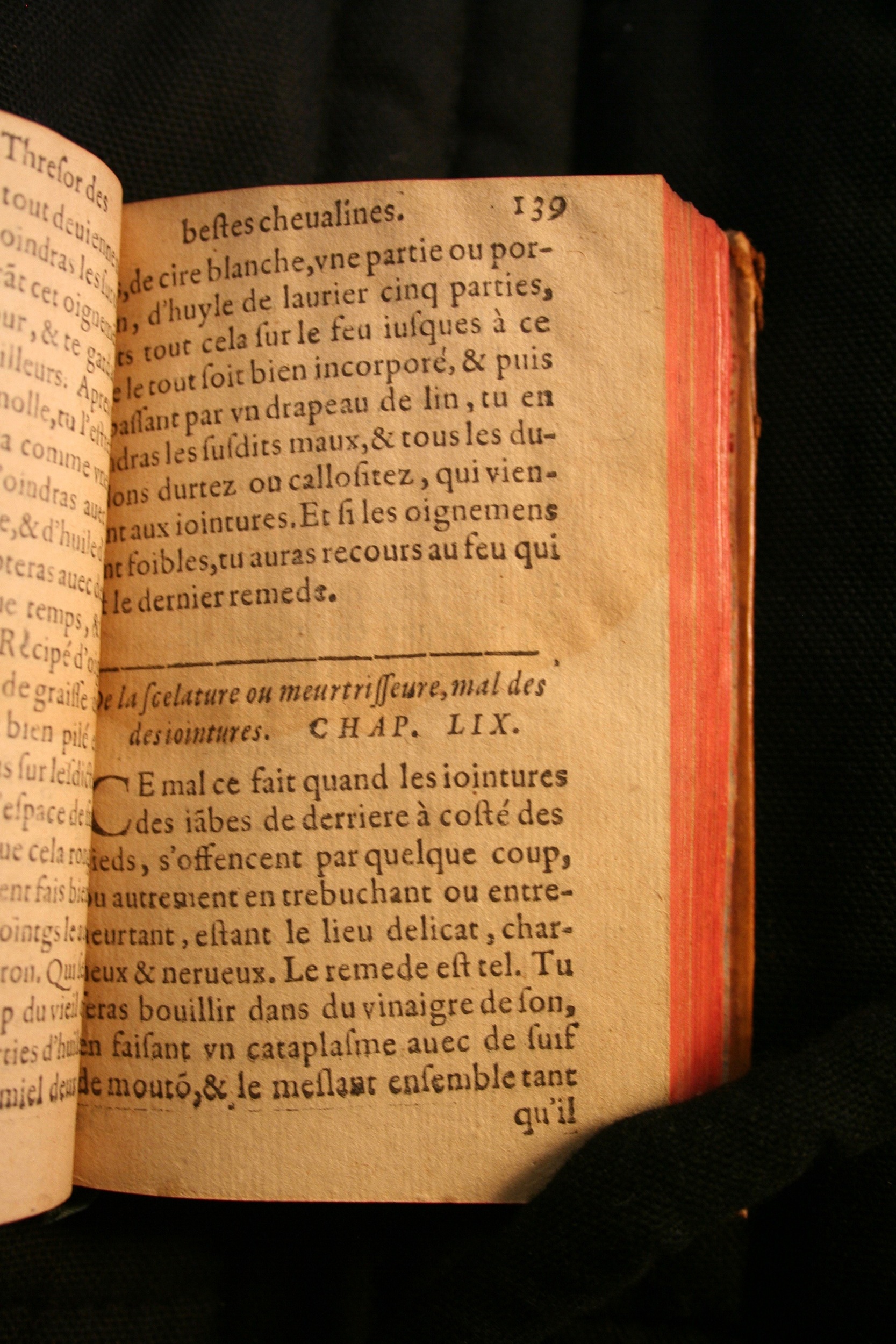 1591 - Pierre Chastaing et Benoît Rigaud - Trésor des bêtes chevalines - BM Bordeaux
