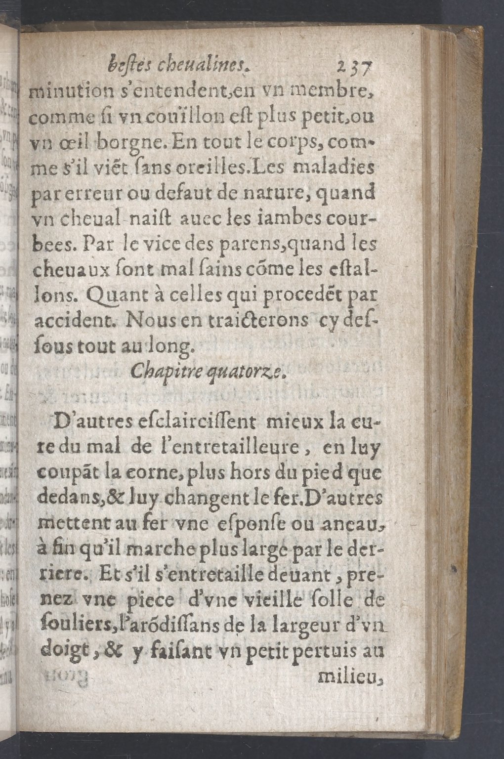 1619 - Pierre Rigaud - Trésor des bêtes chevalines - BnF 1619 - Pierre Rigaud - Trésor des bêtes chevalines - BnF