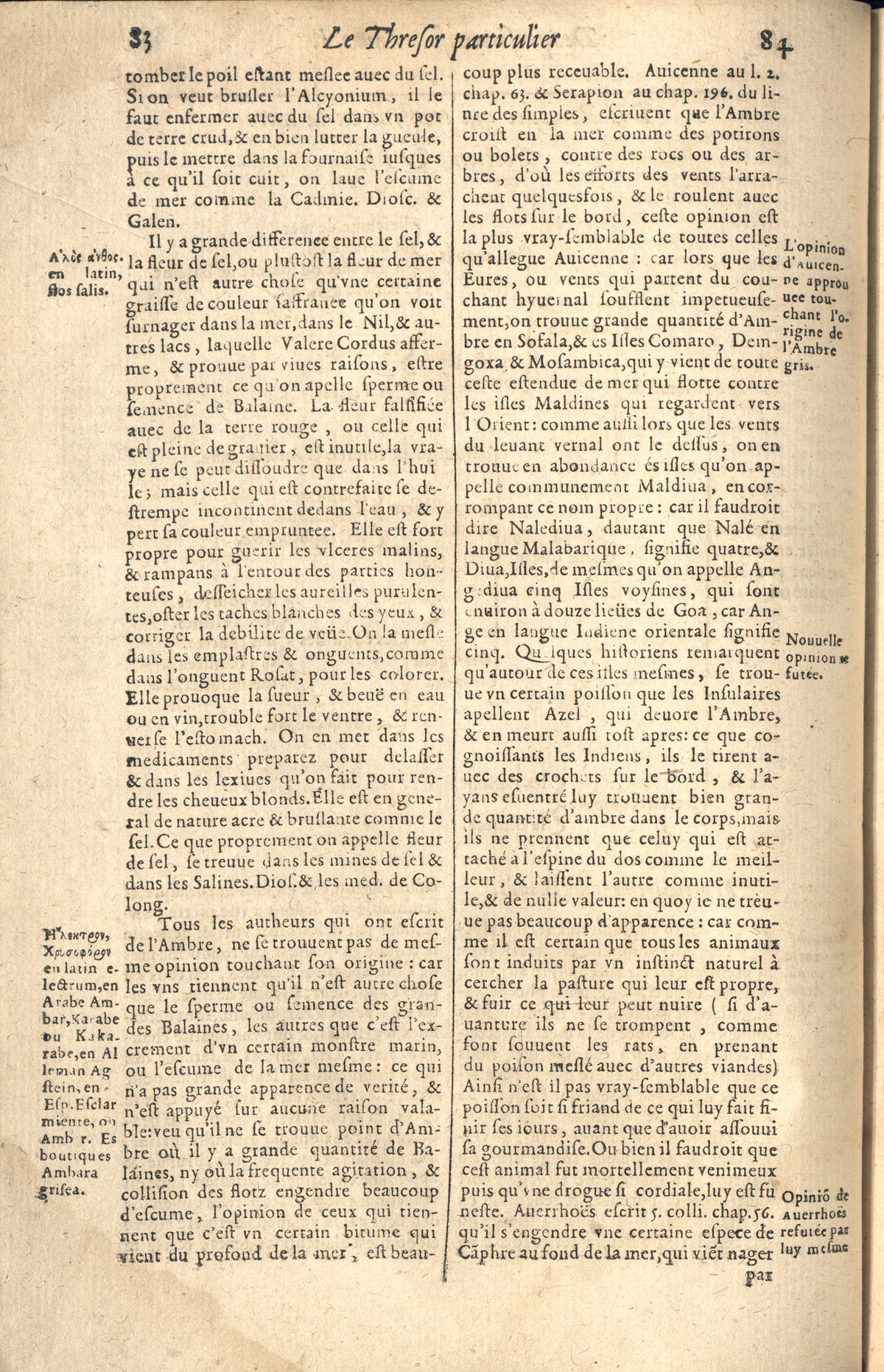 1610 - Étienne Gamonet - Grand Trésor ou dispensaire - CESR Tours