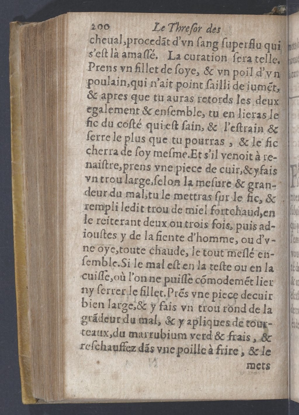 1619 - Pierre Rigaud - Trésor des bêtes chevalines - BnF