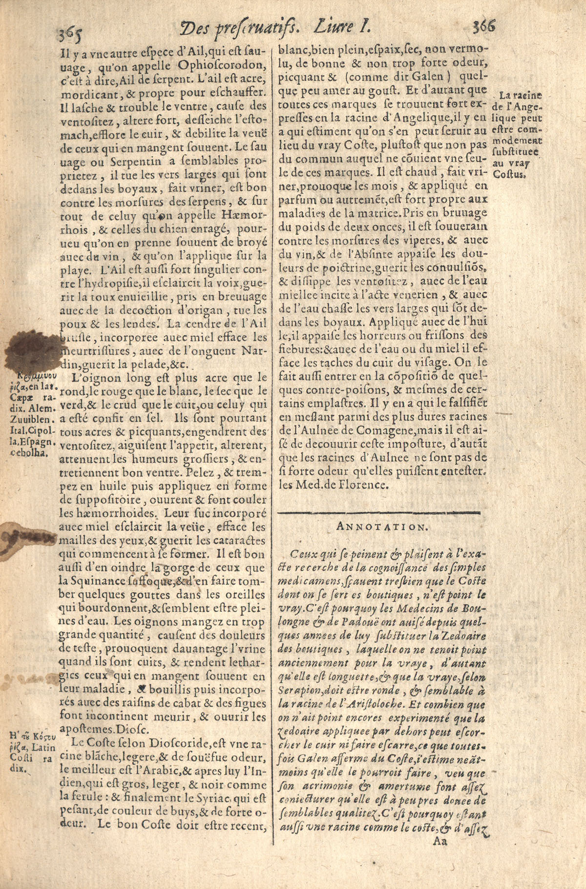 1610 - Étienne Gamonet - Grand Trésor ou dispensaire - CESR Tours