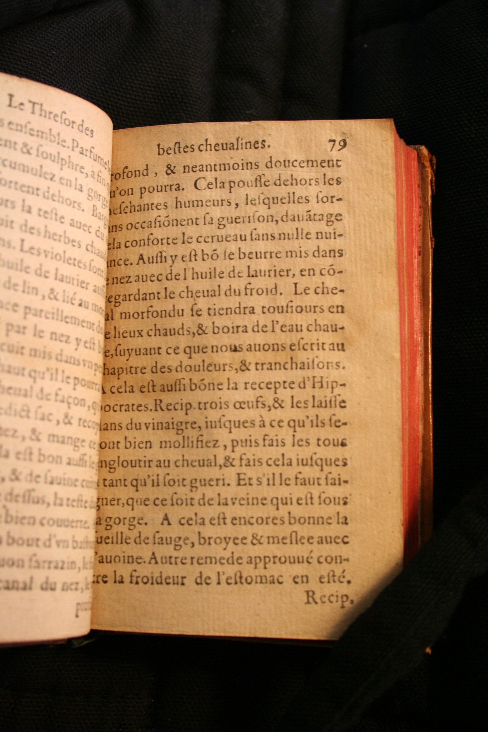 1591 - Pierre Chastaing et Benoît Rigaud - Trésor des bêtes chevalines - BM Bordeaux