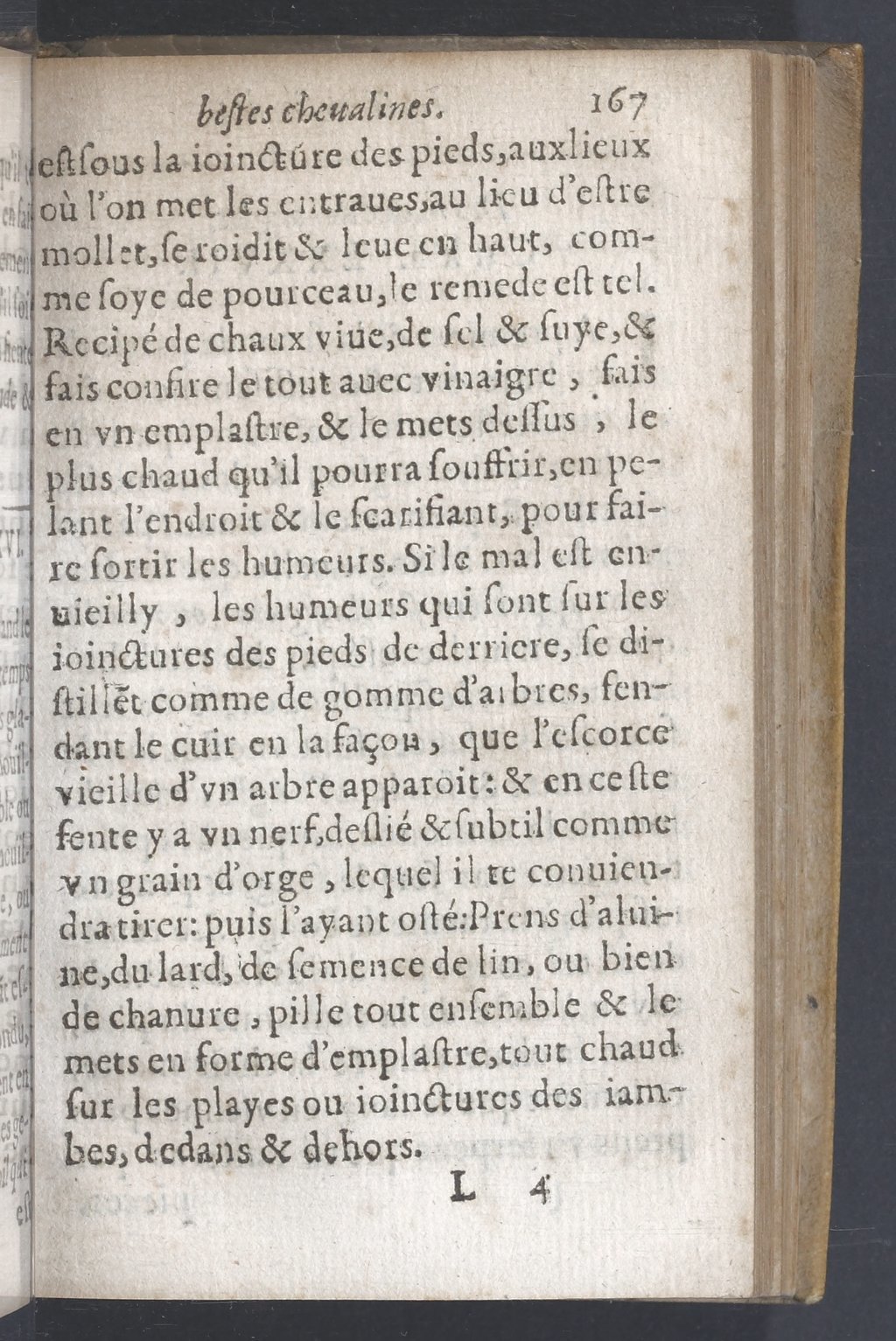 1619 - Pierre Rigaud - Trésor des bêtes chevalines - BnF