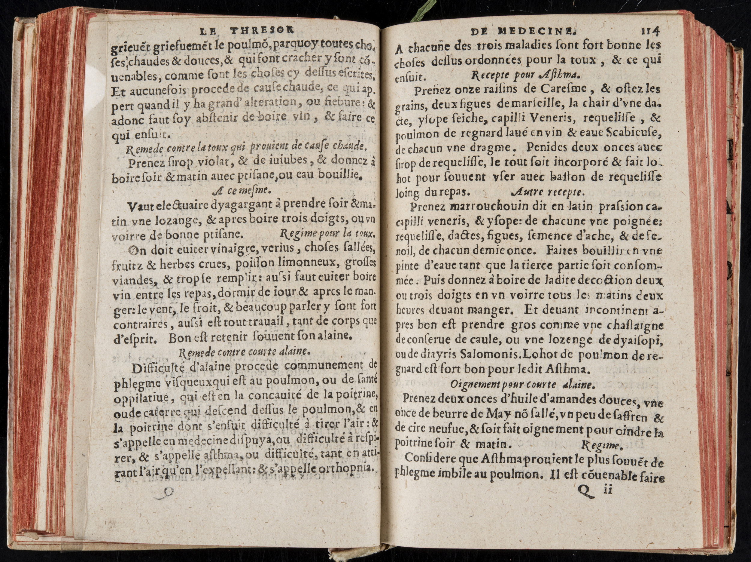 1560 - Nicolas Pelletier - Trésor de médecine - BM Poitiers