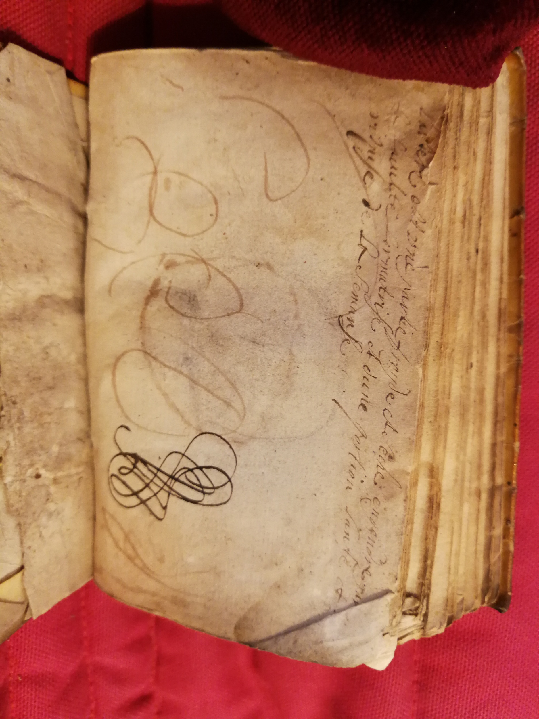 1586 - Benoît Rigaud - Trésor des fleurs et secrets de médecine - Sainte-Geneviève