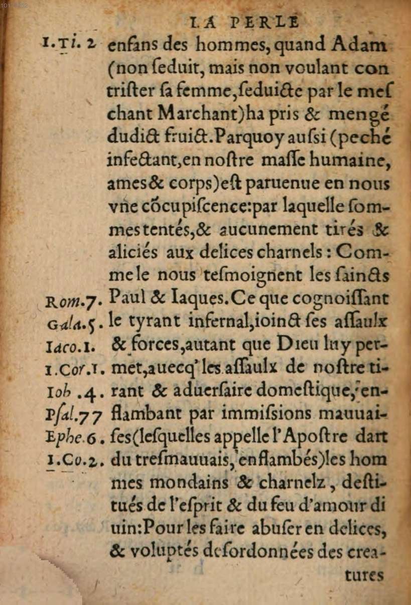 1548 - René Avril et Vivant Gaulterot - Perle précieuse évangélique et Trésor divin - BSB Munich 1548 - René Avril et Vivant Gaulterot - Perle précieuse évangélique et Trésor divin - BSB Munich