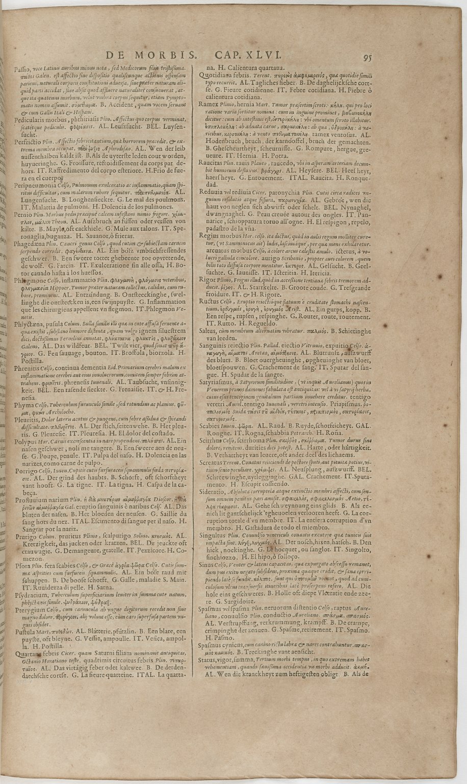 1606 - David Douceur - Trésor de la langue française - BnF 1606 - David Douceur - Trésor de la langue française - BnF