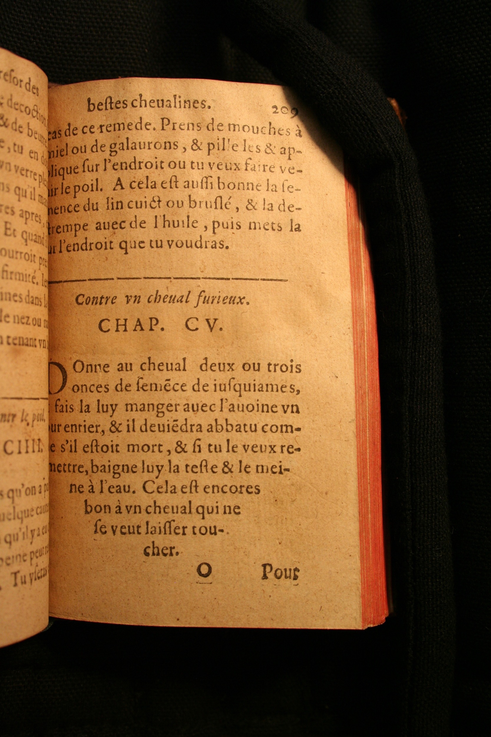 1591 - Pierre Chastaing et Benoît Rigaud - Trésor des bêtes chevalines - BM Bordeaux