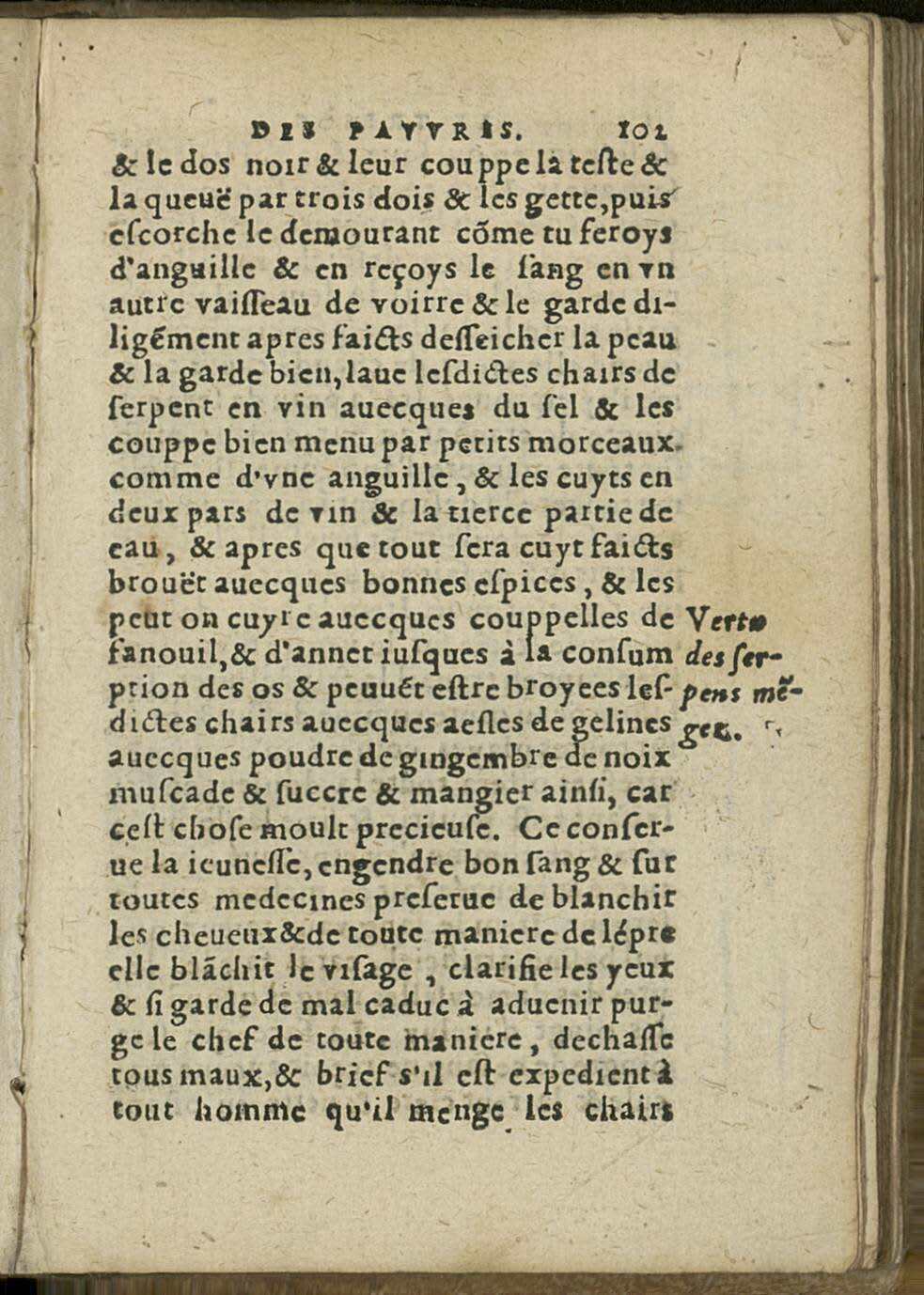 1581 - Jean Bailleur - Trésor des pauvres - Le Havre