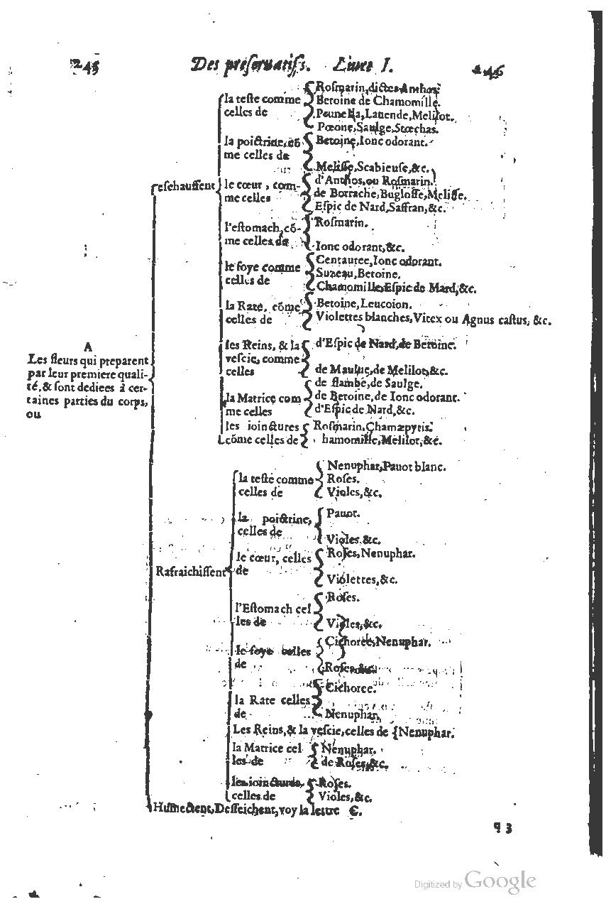 1616 - Étienne Gamonet - Grand trésor ou dispensaire - BSB Munich
