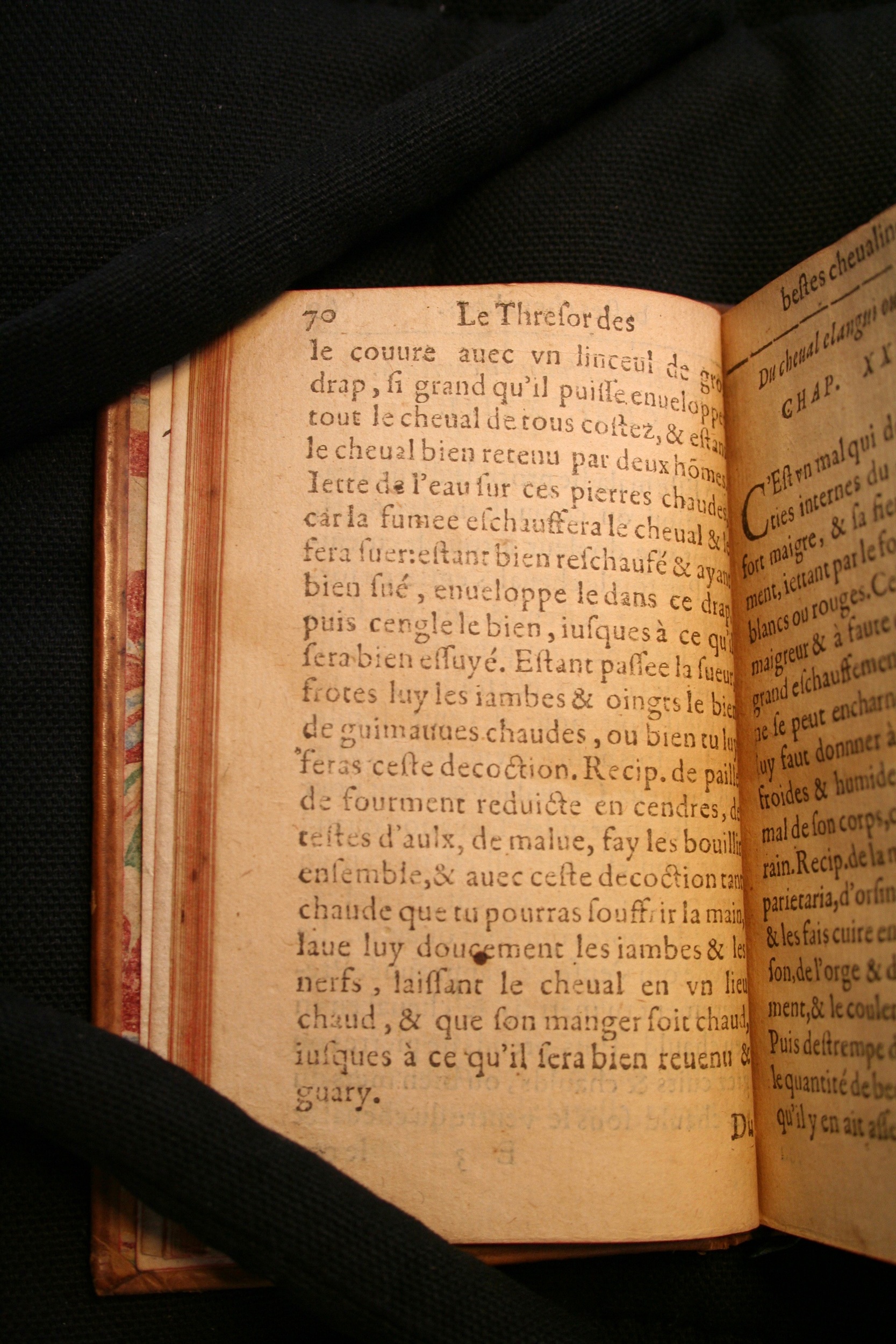 1591 - Pierre Chastaing et Benoît Rigaud - Trésor des bêtes chevalines - BM Bordeaux