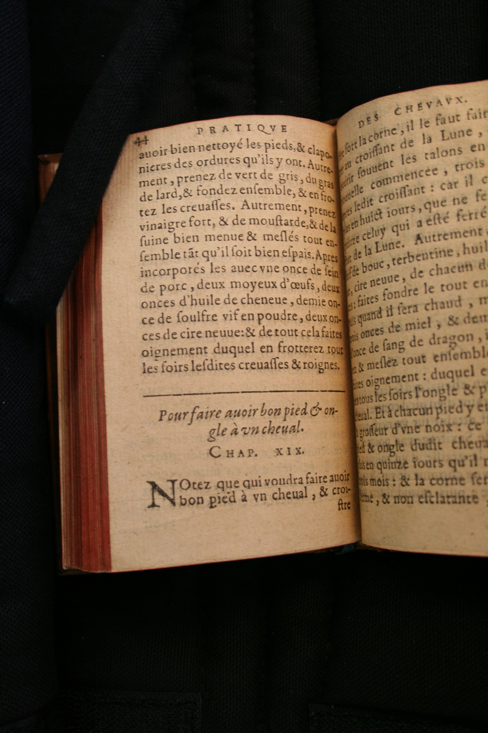 1591 - Pierre Chastaing et Benoît Rigaud - Trésor des bêtes chevalines - BM Bordeaux