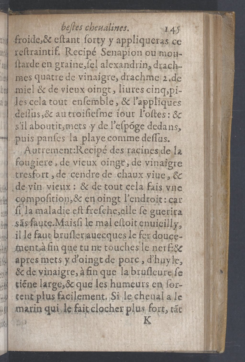 1619 - Pierre Rigaud - Trésor des bêtes chevalines - BnF 1619 - Pierre Rigaud - Trésor des bêtes chevalines - BnF