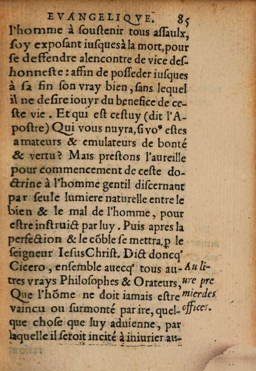 1548 - René Avril et Vivant Gaulterot - Perle précieuse évangélique et Trésor divin - BSB Munich