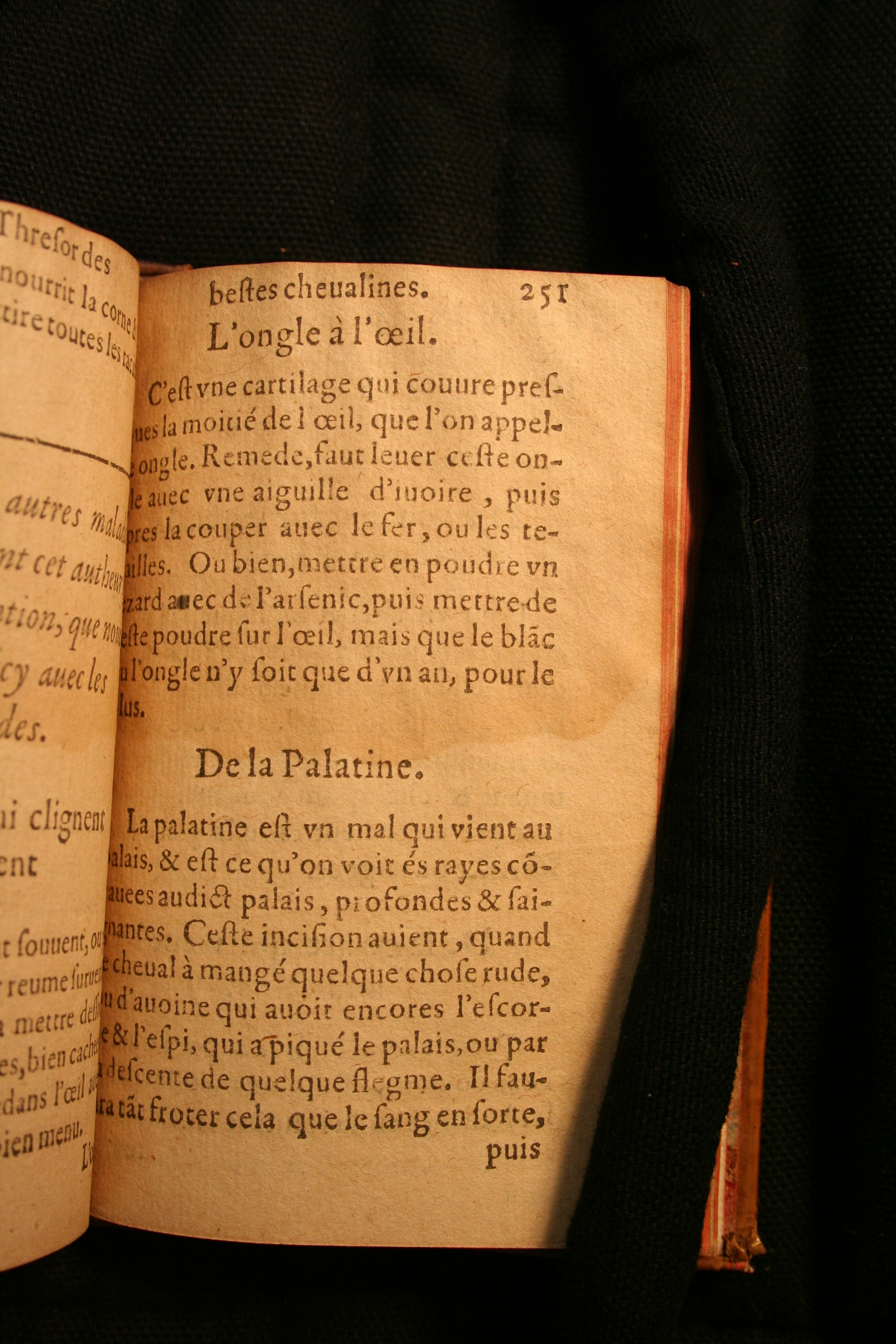 1591 - Pierre Chastaing et Benoît Rigaud - Trésor des bêtes chevalines - BM Bordeaux
